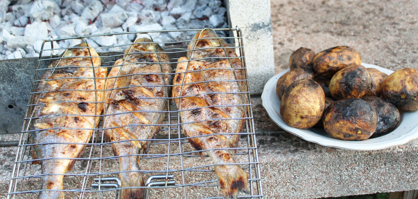 Canon EOS 2000D (EOS Rebel T7 / EOS Kiss X90 / EOS 1500D) sample photo. Bbq, barbecue, grilled fish photography