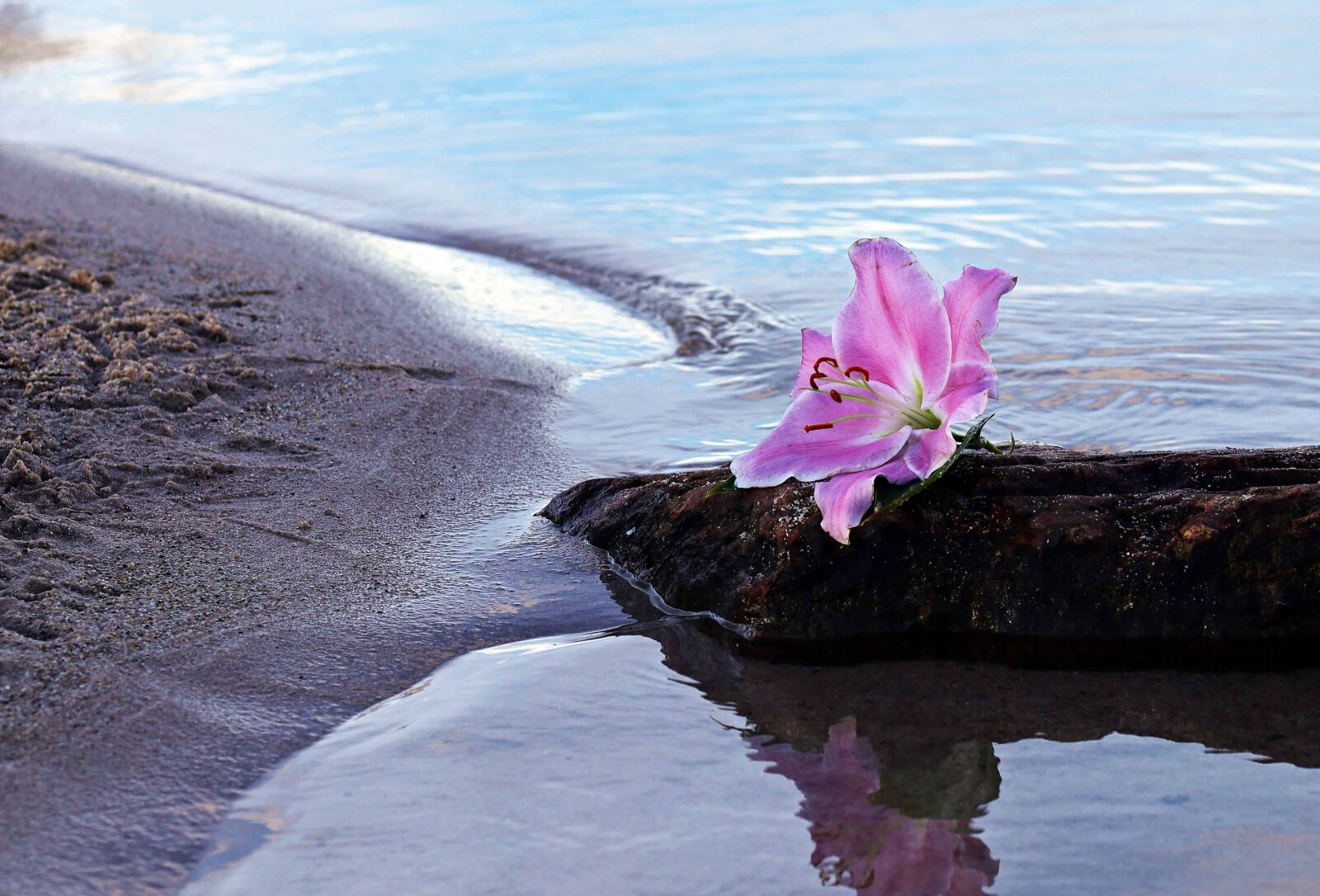 Canon EOS 80D sample photo. Water, coast, sand, sea photography