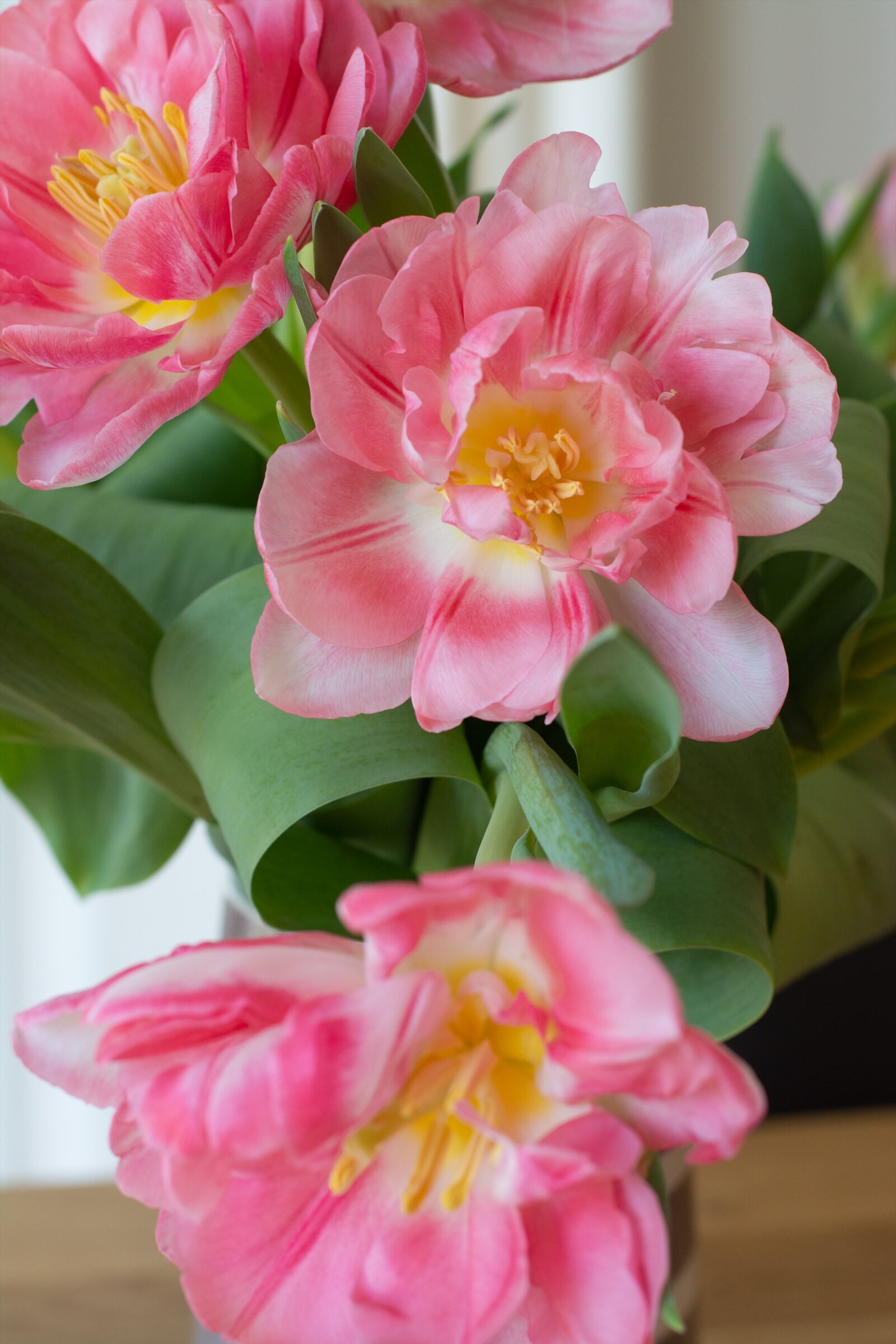 Nikon D7100 sample photo. Flowers, bouquet, tulips photography