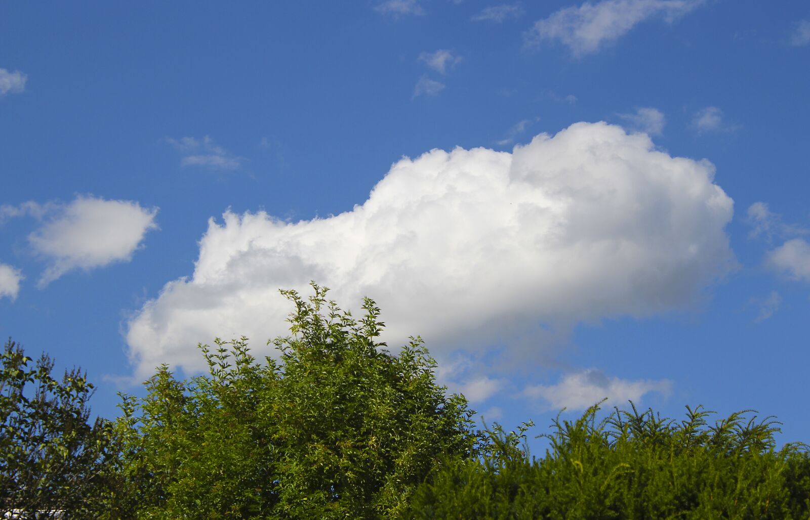 Canon EOS 700D (EOS Rebel T5i / EOS Kiss X7i) sample photo. Cloud, sky, blue photography