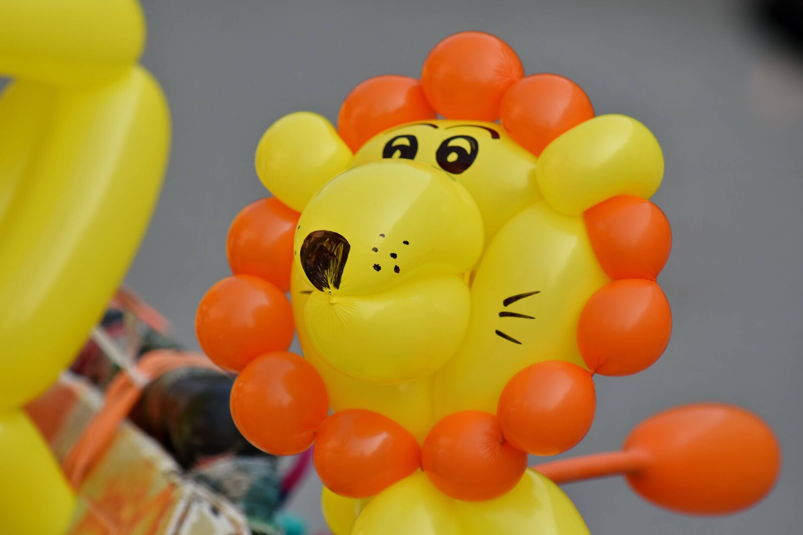Nikon D5500 sample photo. Balloon, decoration, funny, lion photography