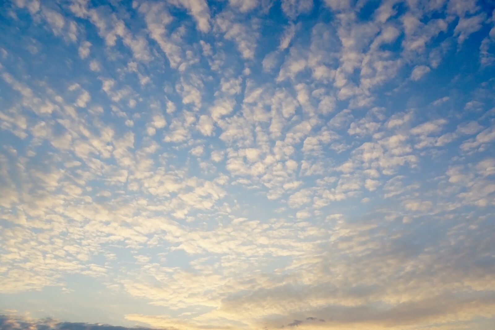 Sony a6000 sample photo. Sky, blue sky, fleecy photography