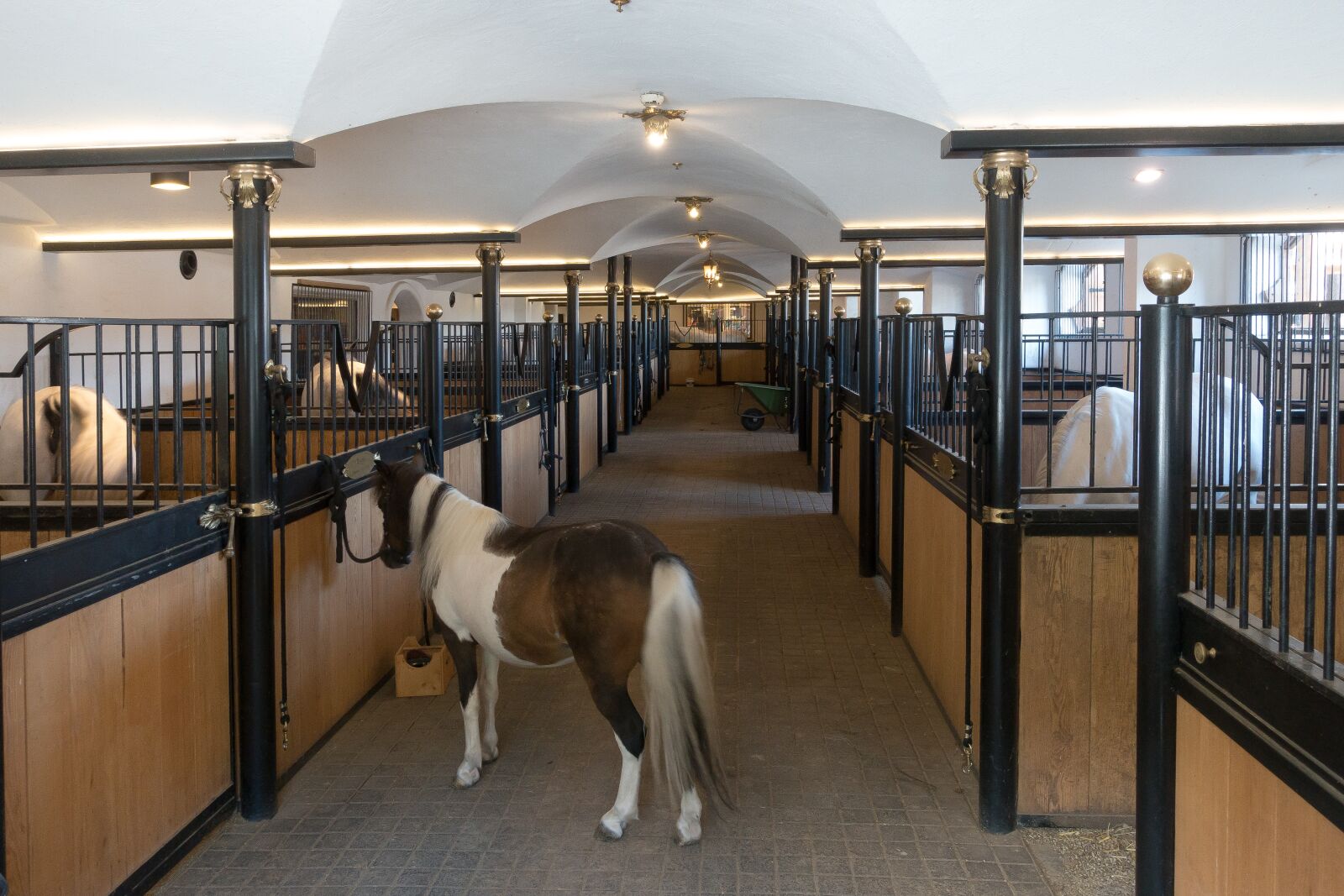 Sony Cyber-shot DSC-RX100 III sample photo. Stall, horse stable, stud photography