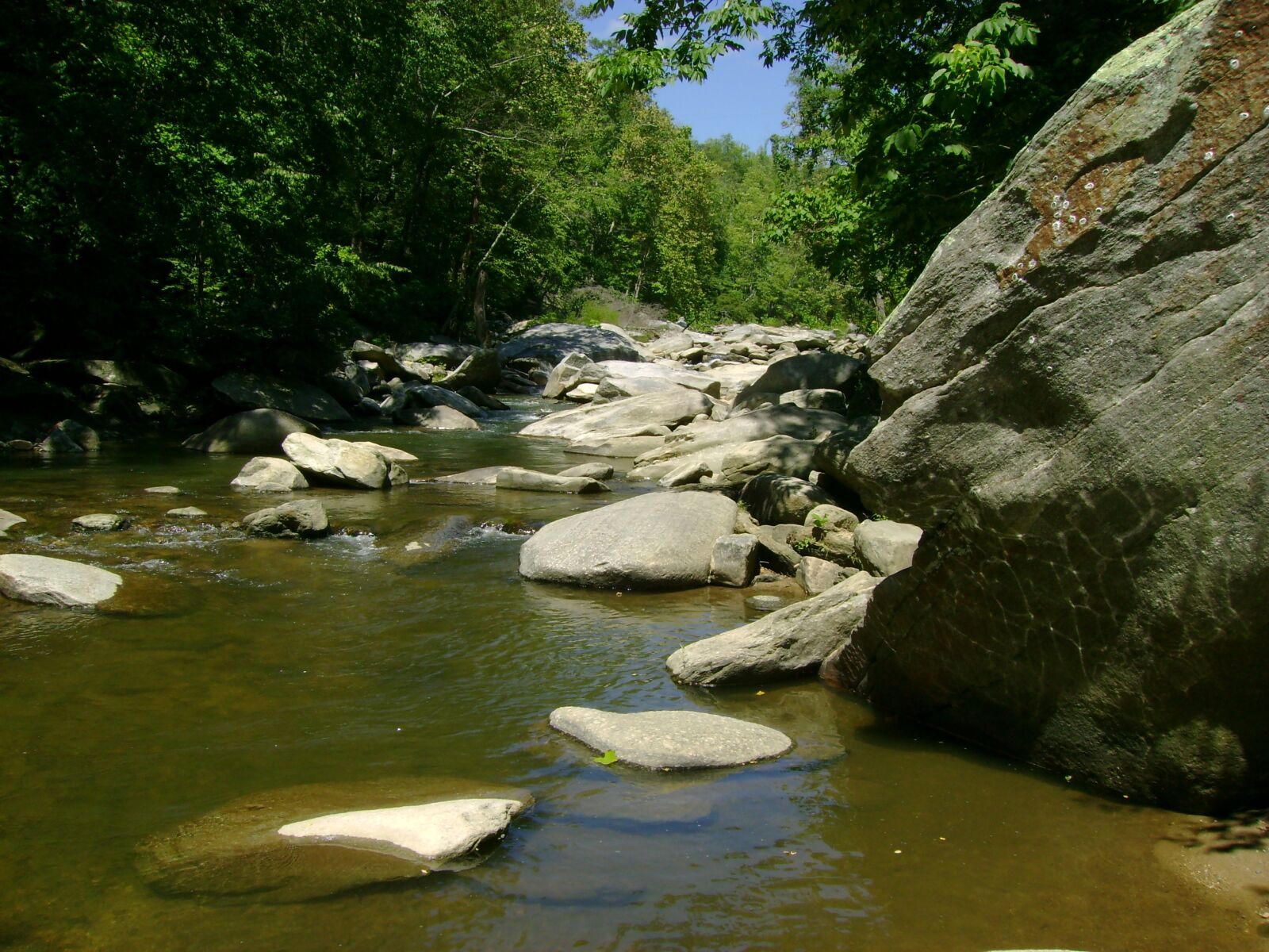 Sony DSC-S500 sample photo. River, mountain river, mountain photography