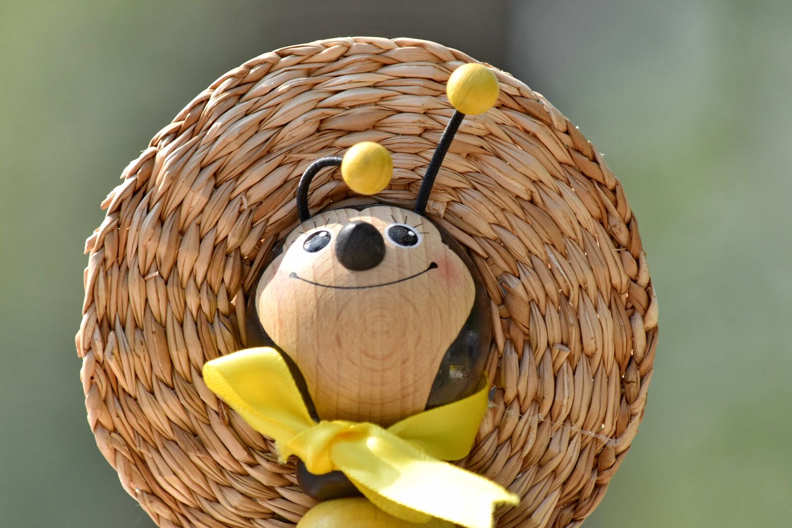Nikon D5500 sample photo. Face, handmade, hat, honeybee photography