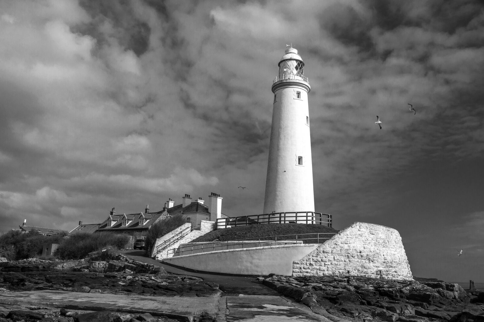 Nikon D3200 sample photo. Lighthouse, st mary's lighthouse photography