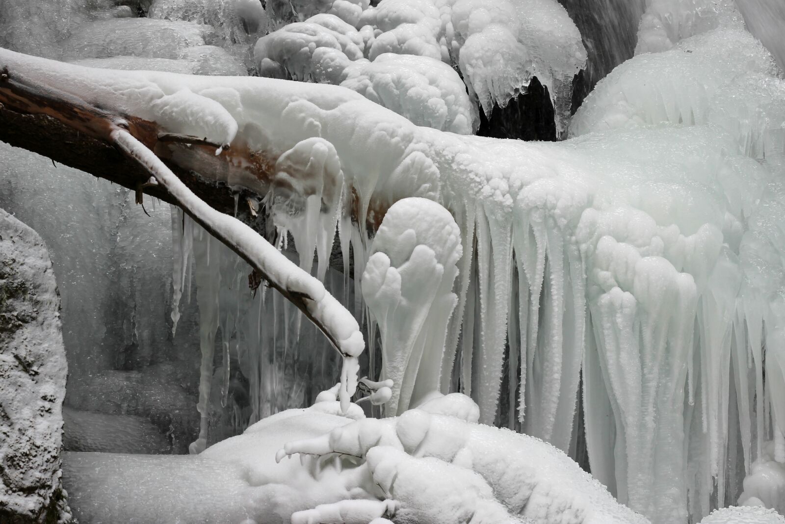 Canon EOS 600D (Rebel EOS T3i / EOS Kiss X5) + Canon EF 50mm F1.8 STM sample photo. Ice, nature, frozen photography