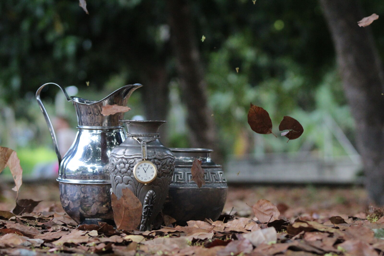 Canon EF 75-300mm f/4-5.6 sample photo