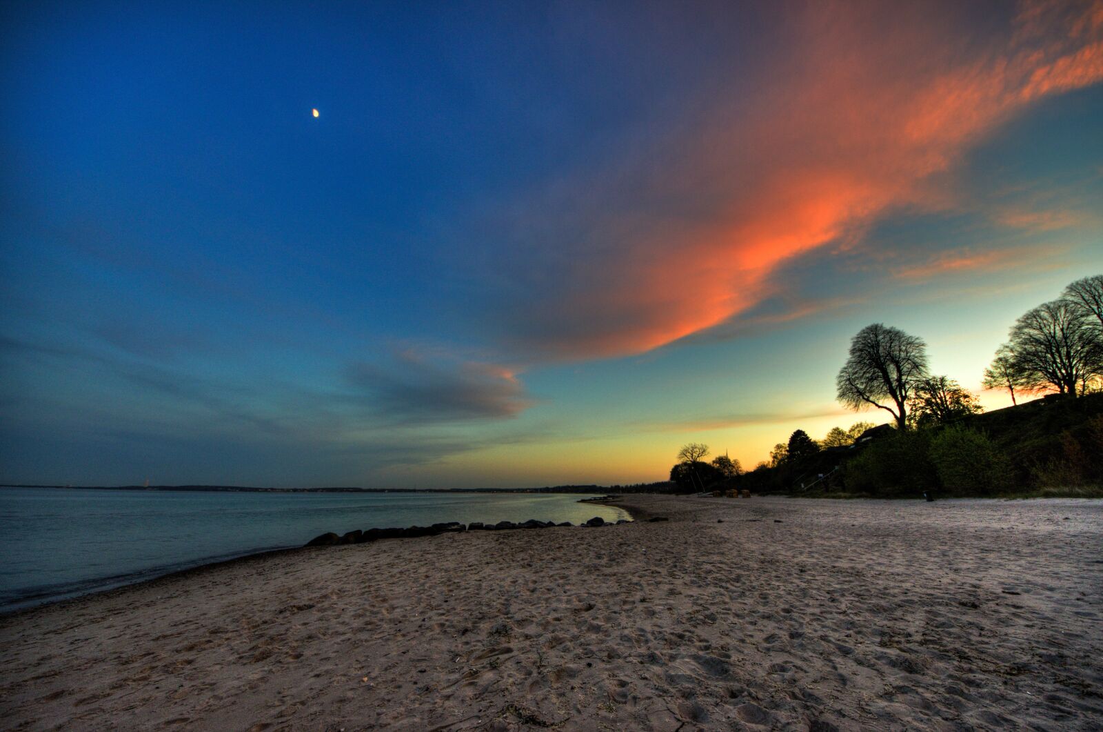 Nikon D7000 sample photo. Hdr, trees, sand photography