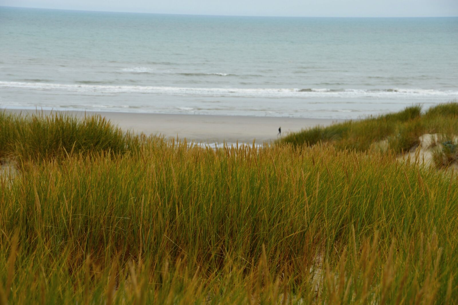 Nikon D3200 sample photo. Sea, beach, stella beach photography