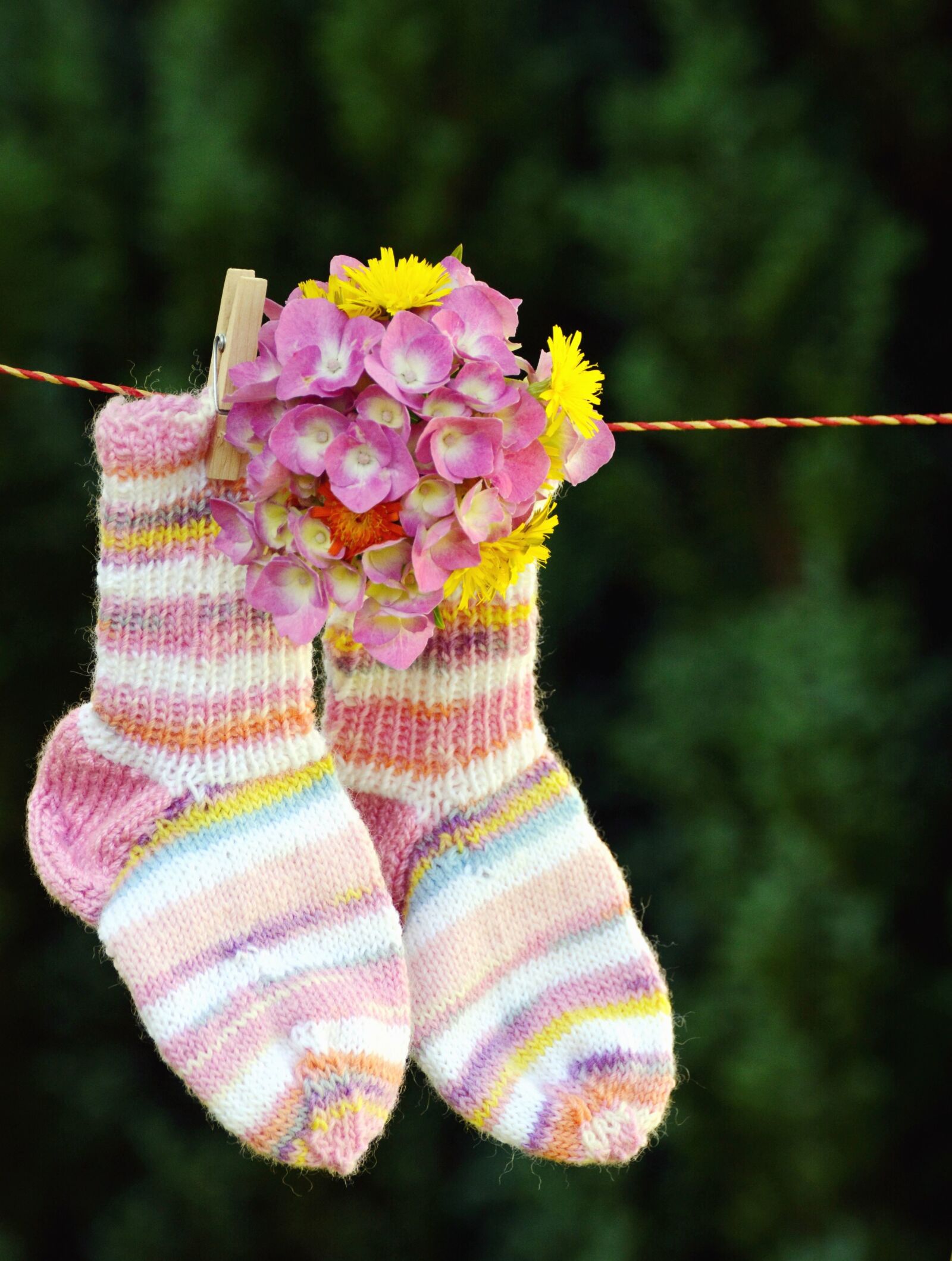 Nikon D5200 sample photo. Socks, flower, wire, flower photography