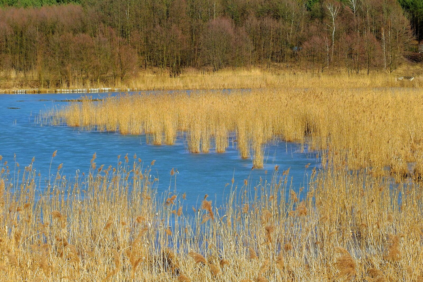 Nikon Coolpix P900 sample photo. Nature, landscape, lake photography