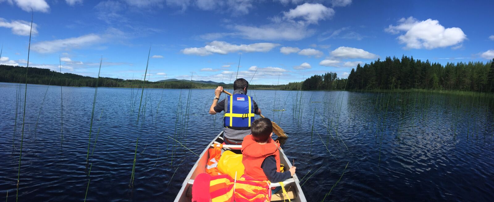 Apple iPhone 6 sample photo. Sweden, summer, water photography