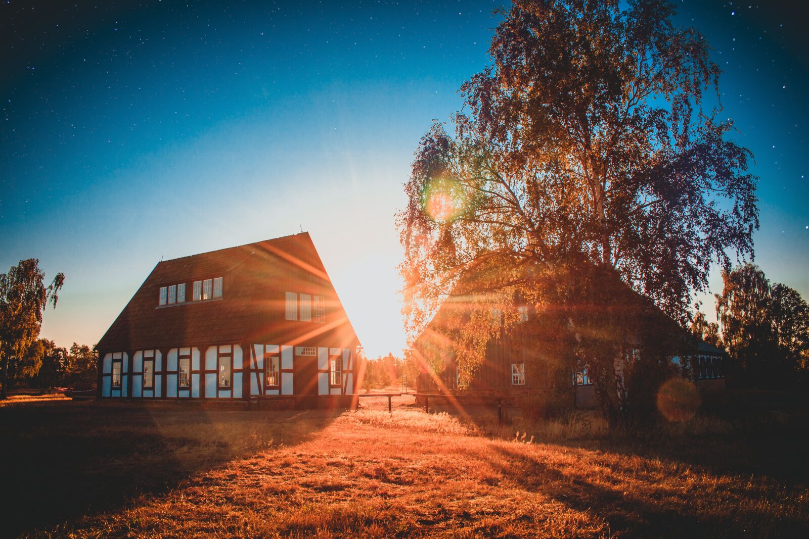 Canon EOS 750D (EOS Rebel T6i / EOS Kiss X8i) sample photo. Morning, freiberg, star photography