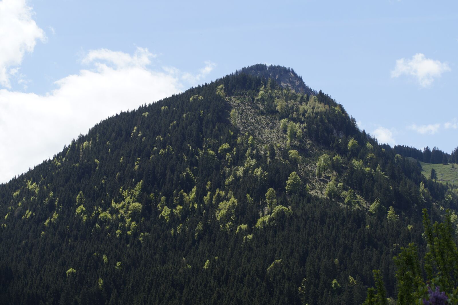 Sony SLT-A58 sample photo. Mountain, allgäu, alpine photography