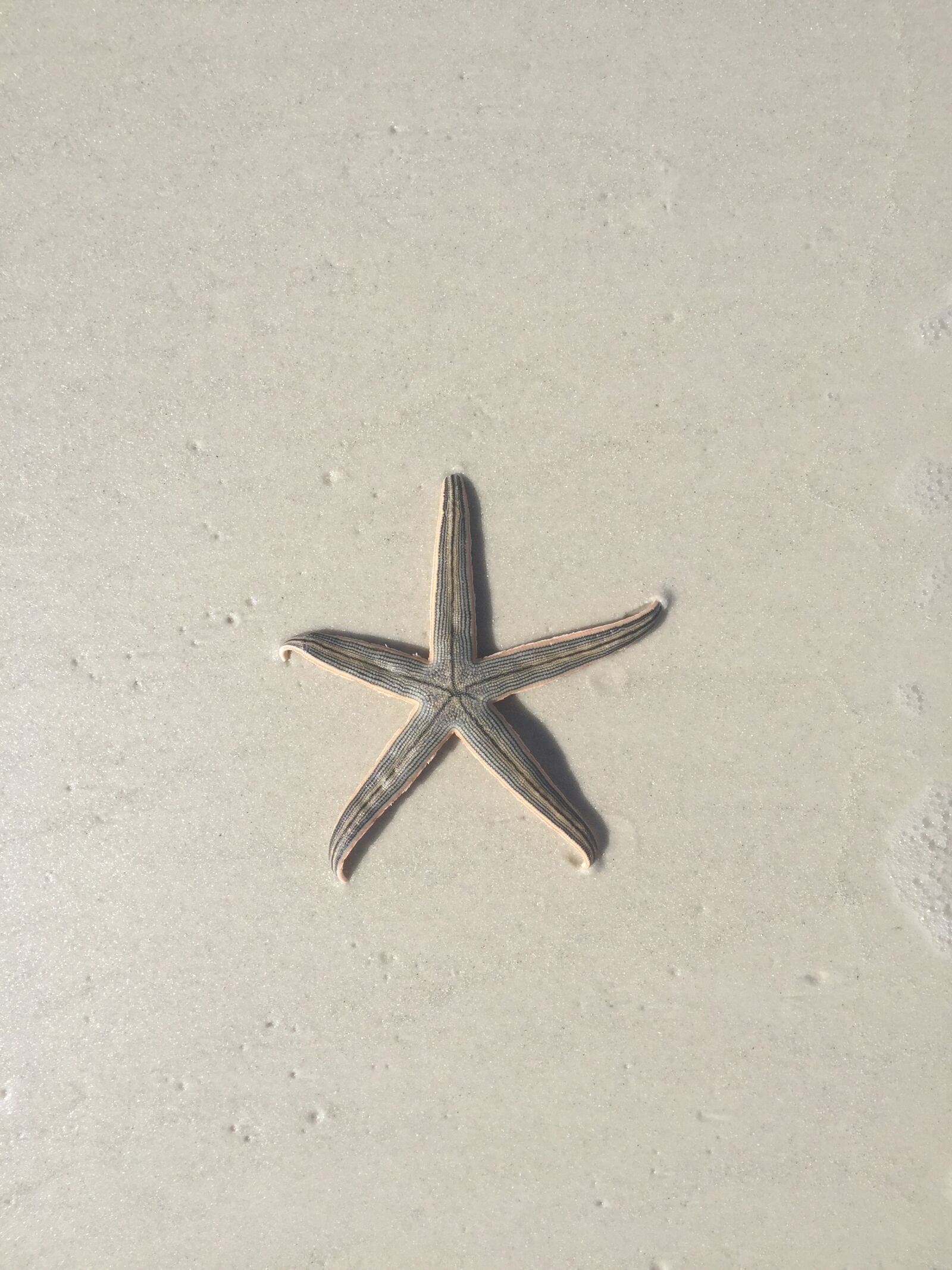 Apple iPhone 6 sample photo. Seashore, beach, sand photography
