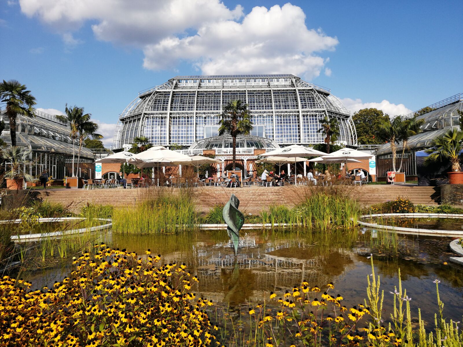HUAWEI SNE-LX1 sample photo. Berlin, botanical garden, greenhouse photography