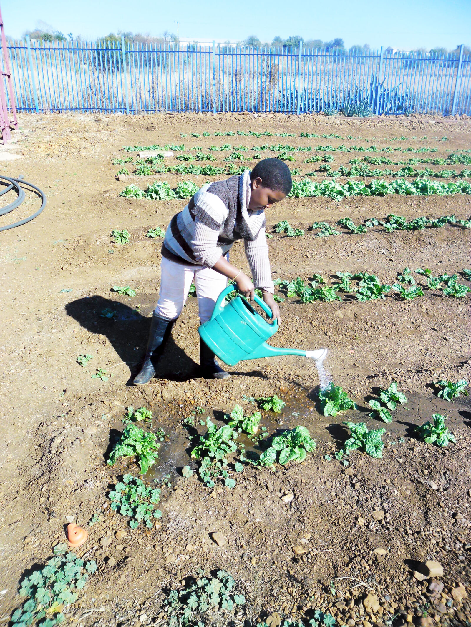 Samsung ES30/VLUU ES30 sample photo. Farming photography