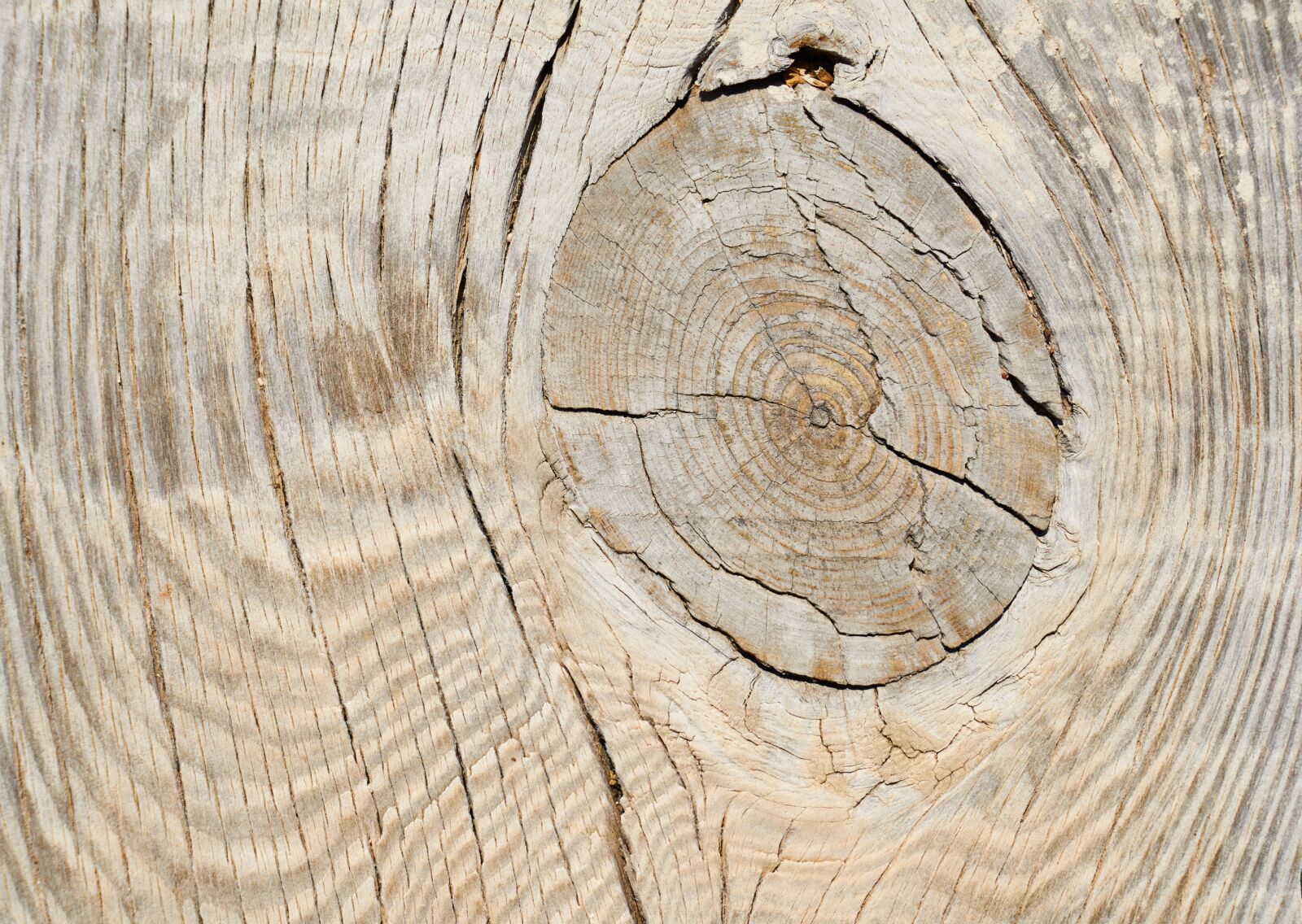 Sony a7R II sample photo. Wood-fibre boards, wood, billet photography