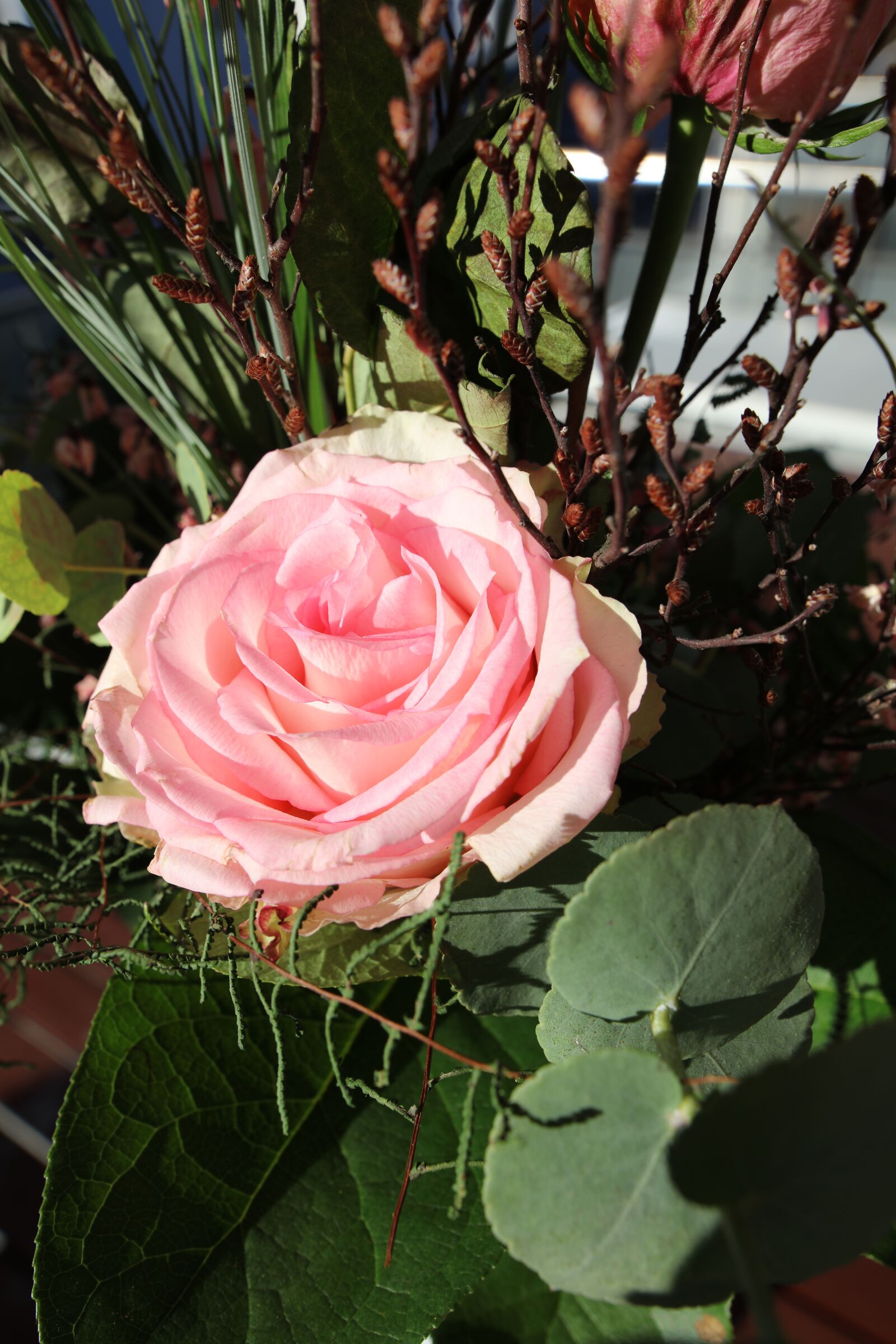 Canon EOS 5DS R sample photo. Love, plant, rose photography