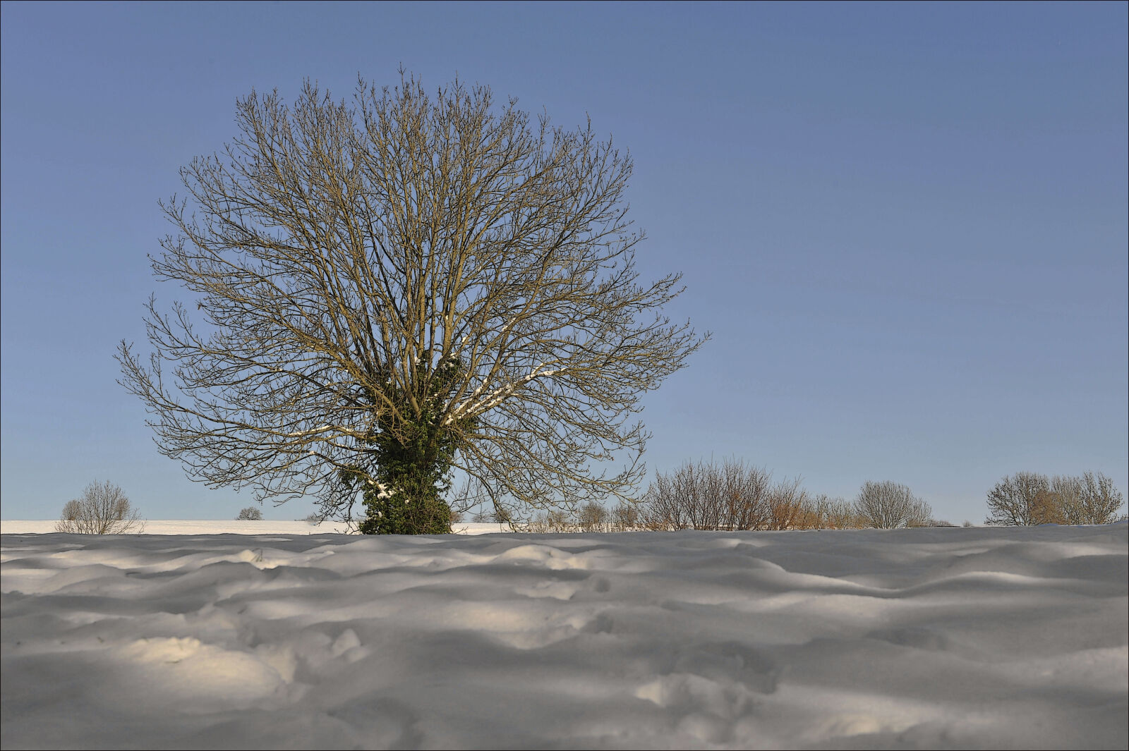 Nikon AF-S Nikkor 24-70mm F2.8G ED sample photo