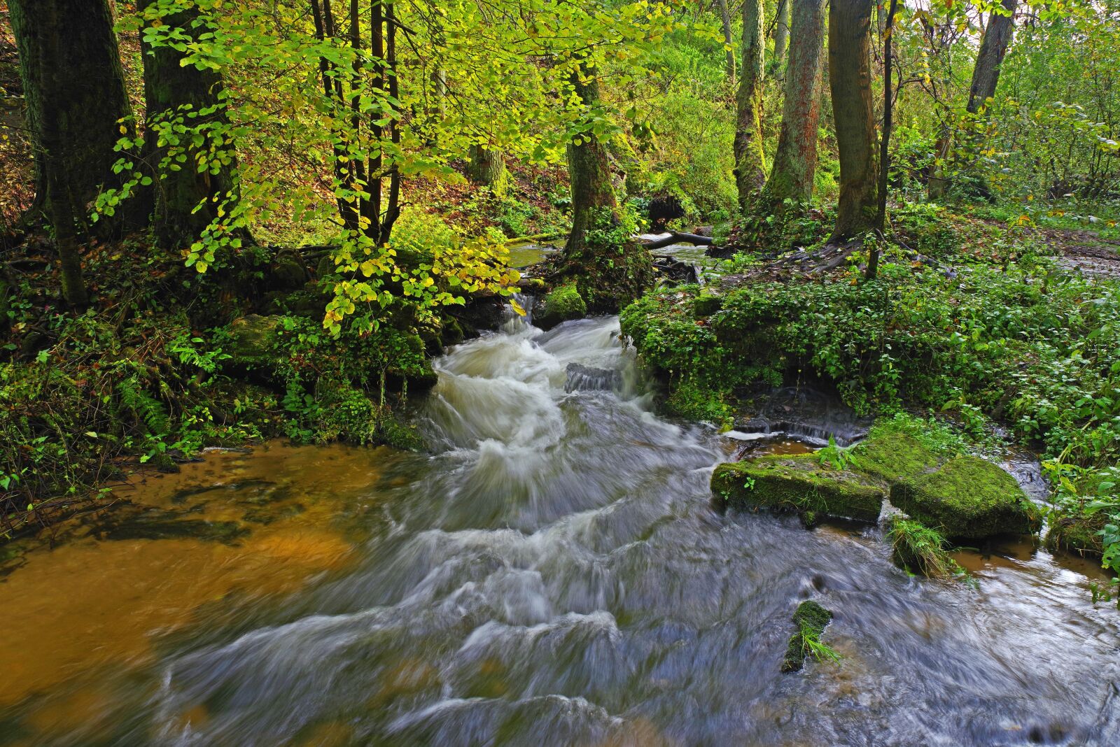 Pentax K-1 sample photo. Poland, mite, river sopot photography