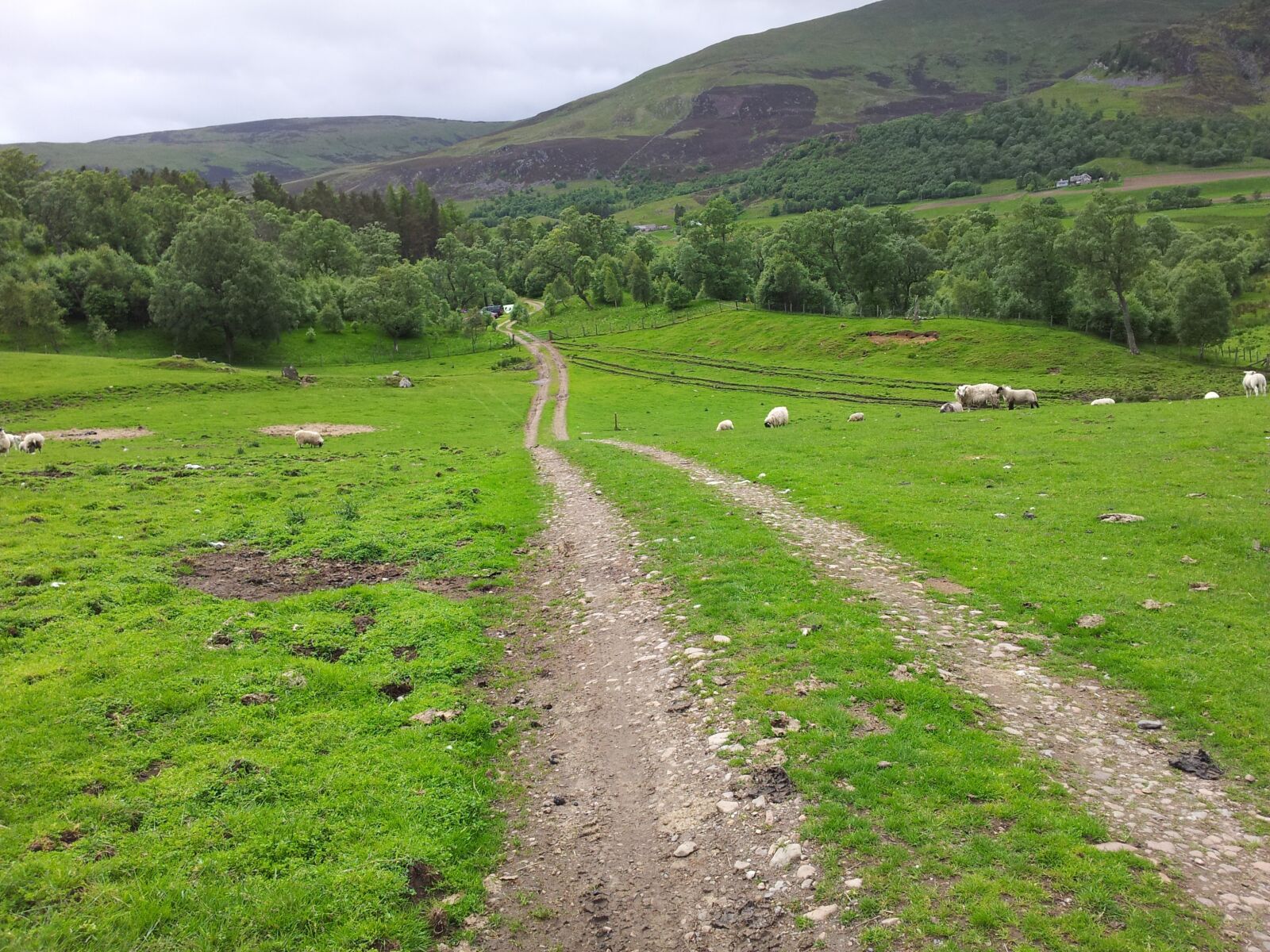 Samsung Galaxy S2 sample photo. Glenshee, scotland, highlands photography