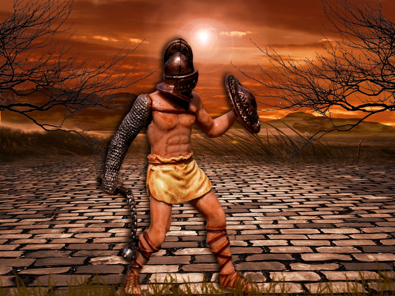 Nikon D3200 sample photo. Gladiator, fighter, fight photography