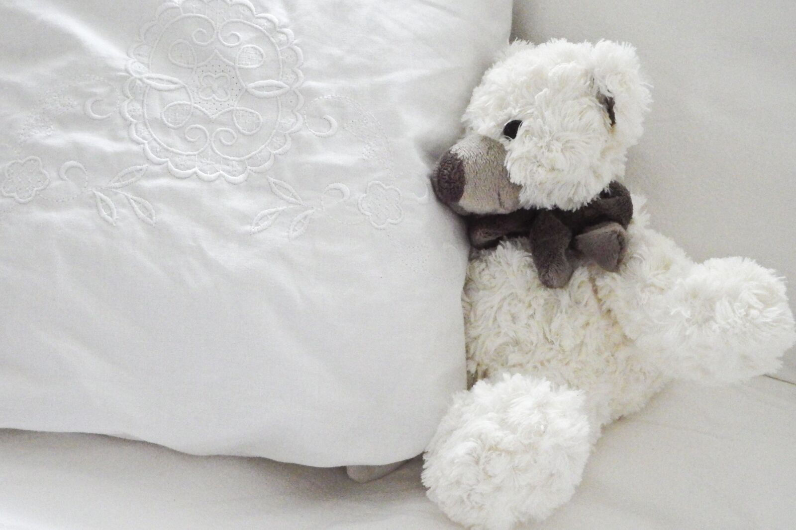 Fujifilm FinePix SL1000 sample photo. Teddy, toys, teddy bear photography
