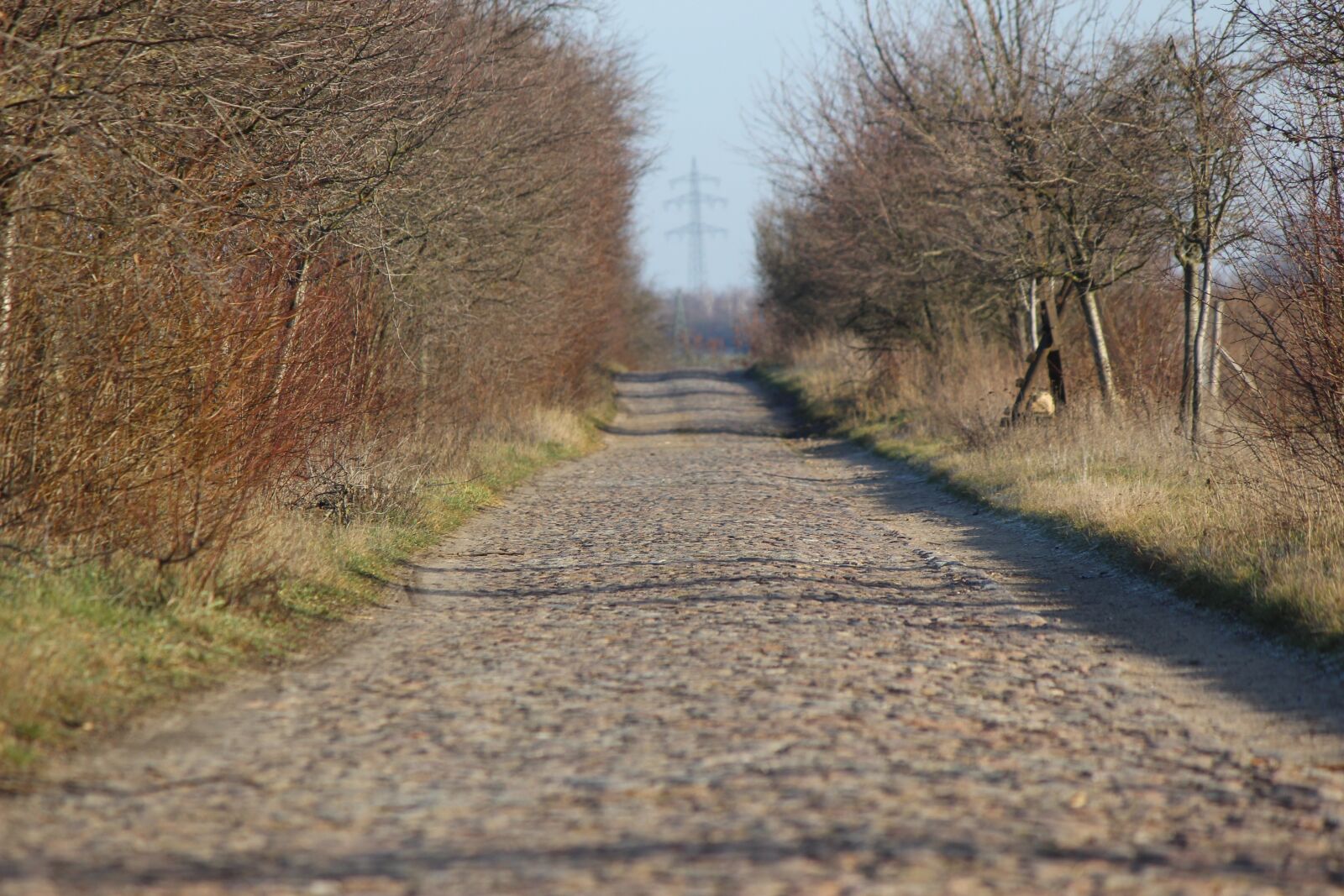Canon EOS 600D (Rebel EOS T3i / EOS Kiss X5) sample photo. Cobblestone street, route between photography