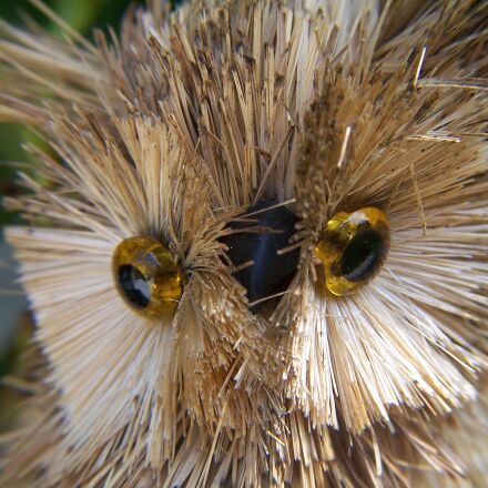 Kodak DX7440 ZOOM DIGITAL CAMERA sample photo - T9CoZz48TU