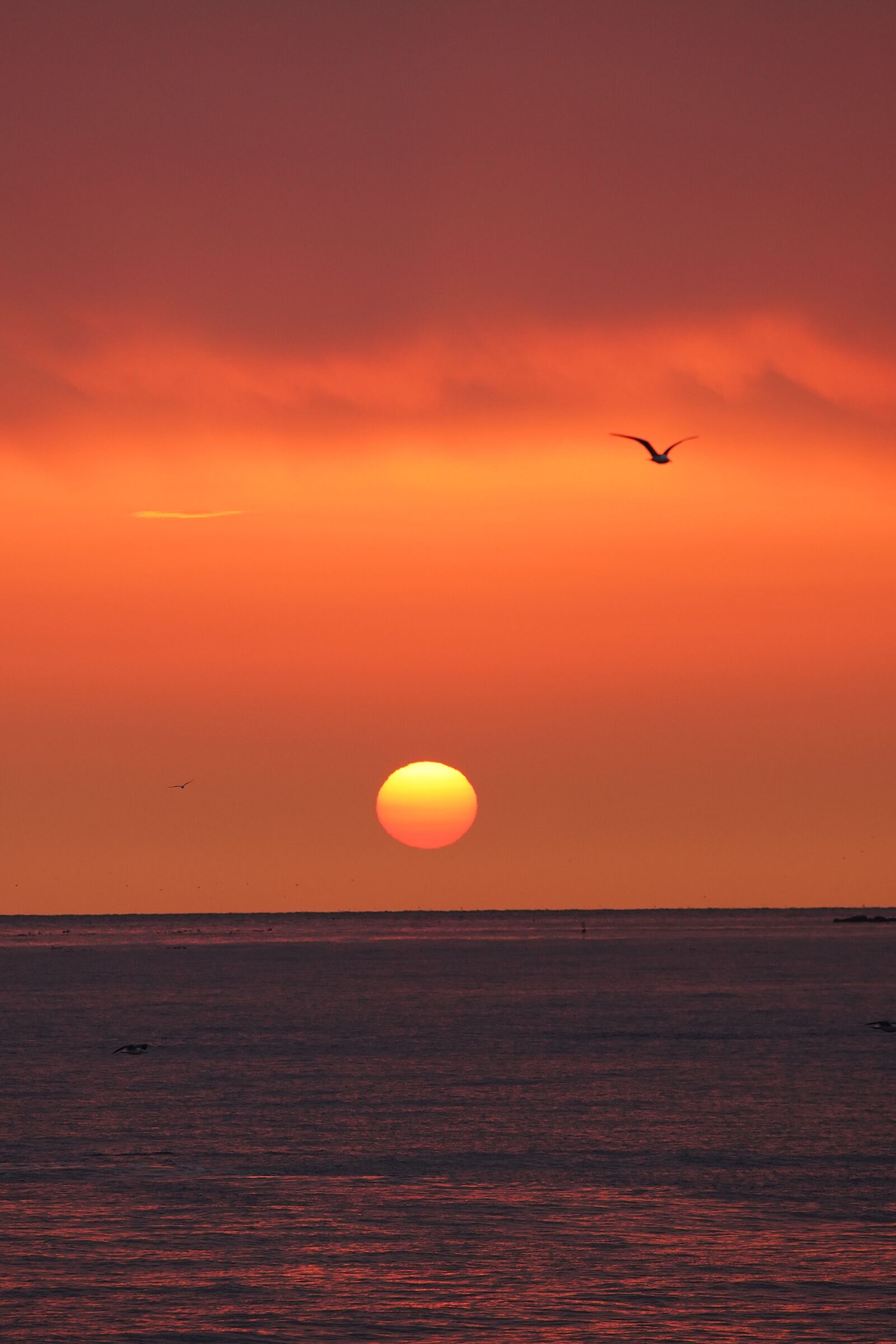 Canon EF 70-200mm F2.8L USM sample photo. Sun, morning, sunrise photography