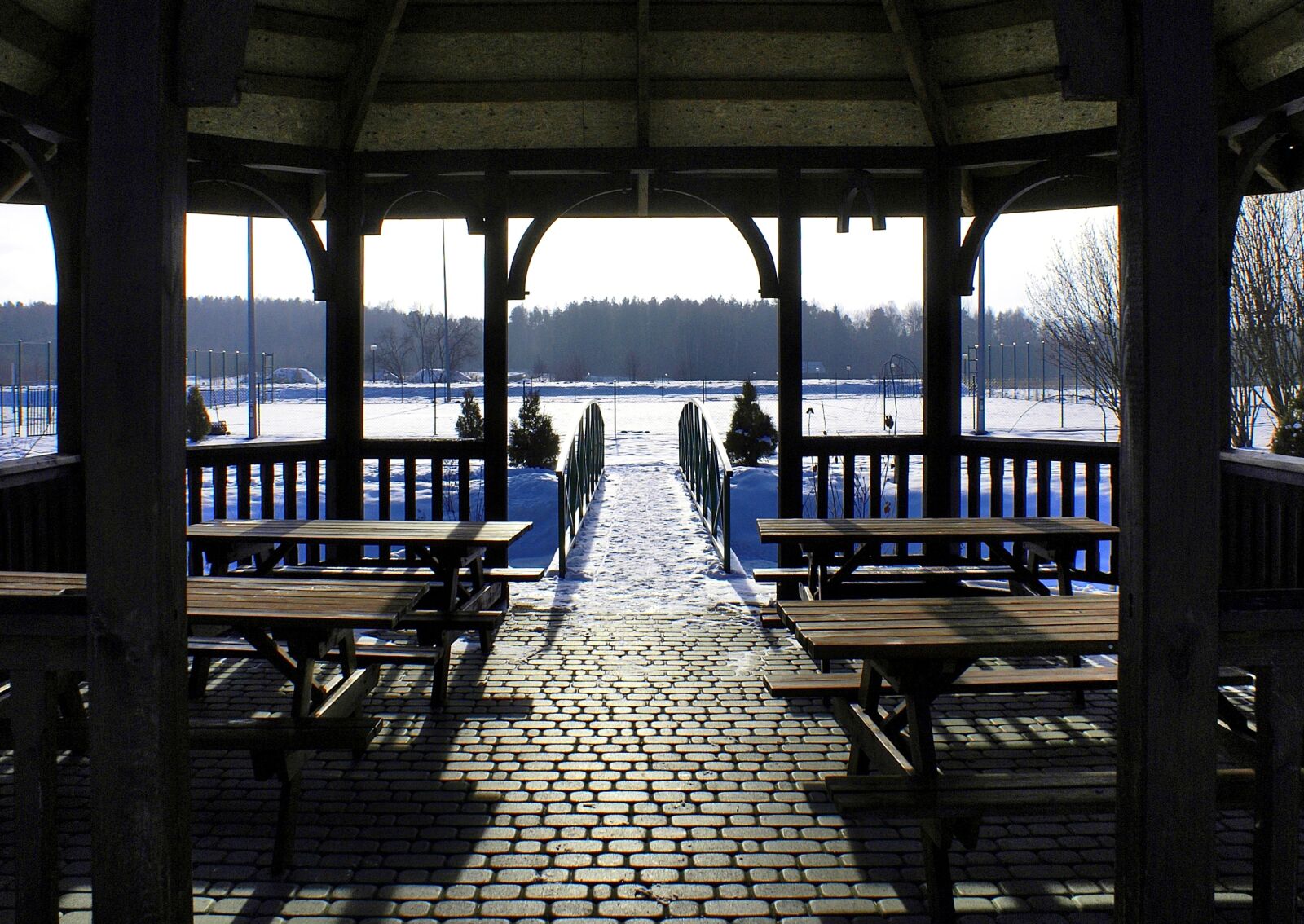 Sony Alpha DSLR-A100 sample photo. Bridge, winter bower, holiday photography