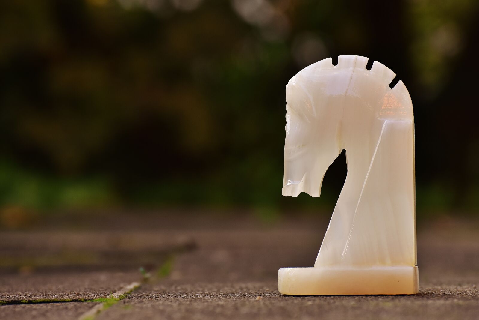 Nikon D7200 sample photo. Horse, horse head, marble photography