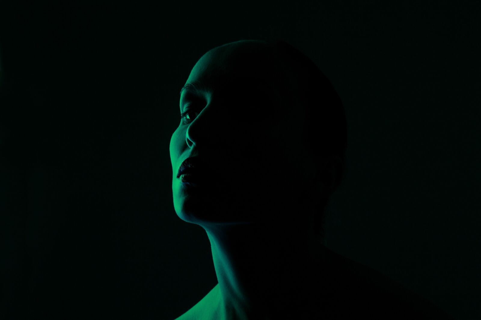 Canon EOS 5D Mark II sample photo. Green, face, light photography