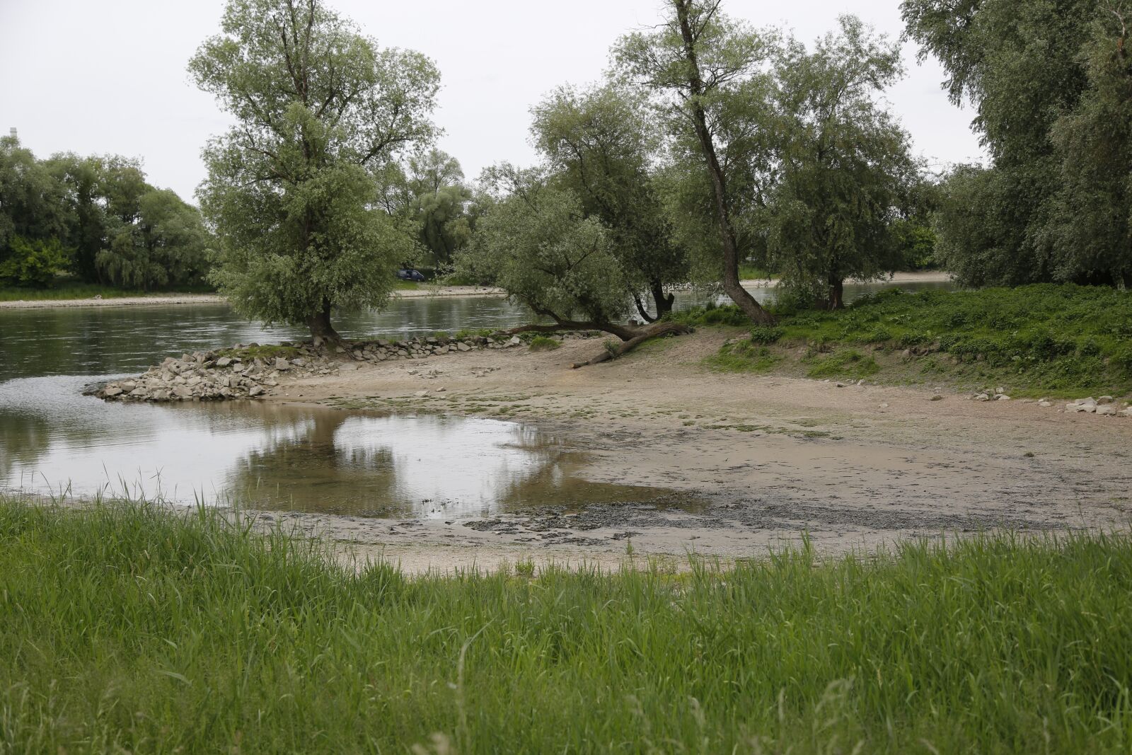 Canon EF 24-105mm F4L IS USM sample photo. Donauauen, land, water photography