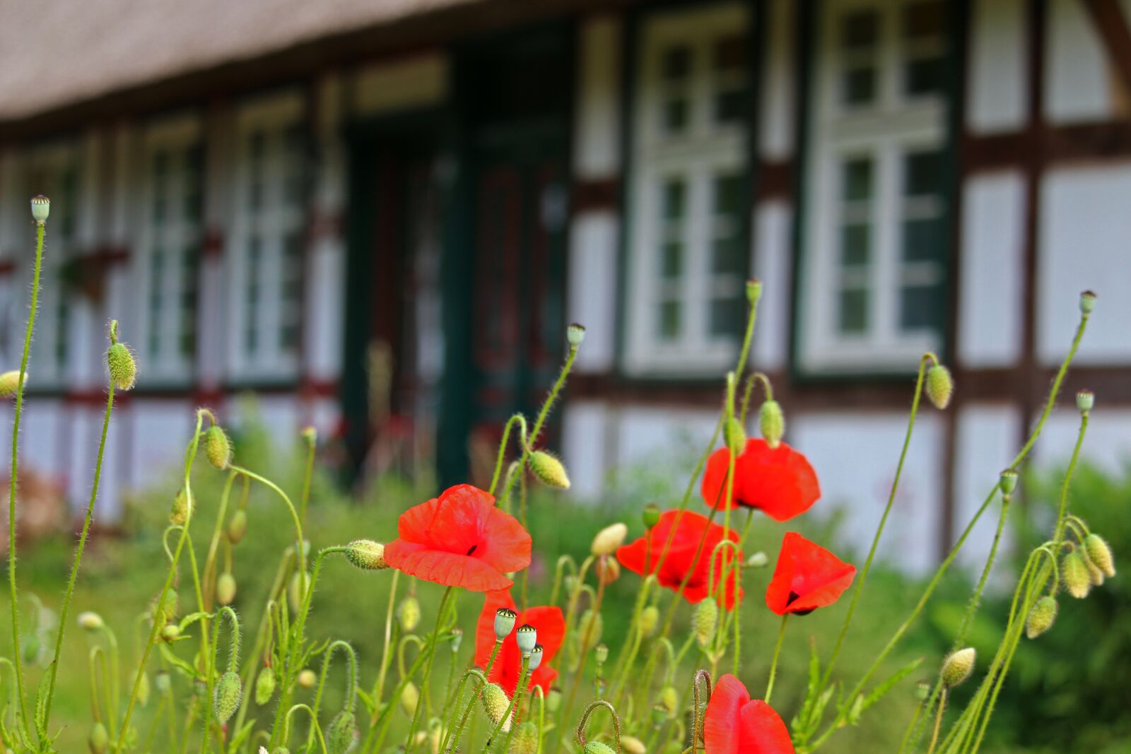 Canon EOS 700D (EOS Rebel T5i / EOS Kiss X7i) sample photo. Fachwerkhaus, village, rural photography
