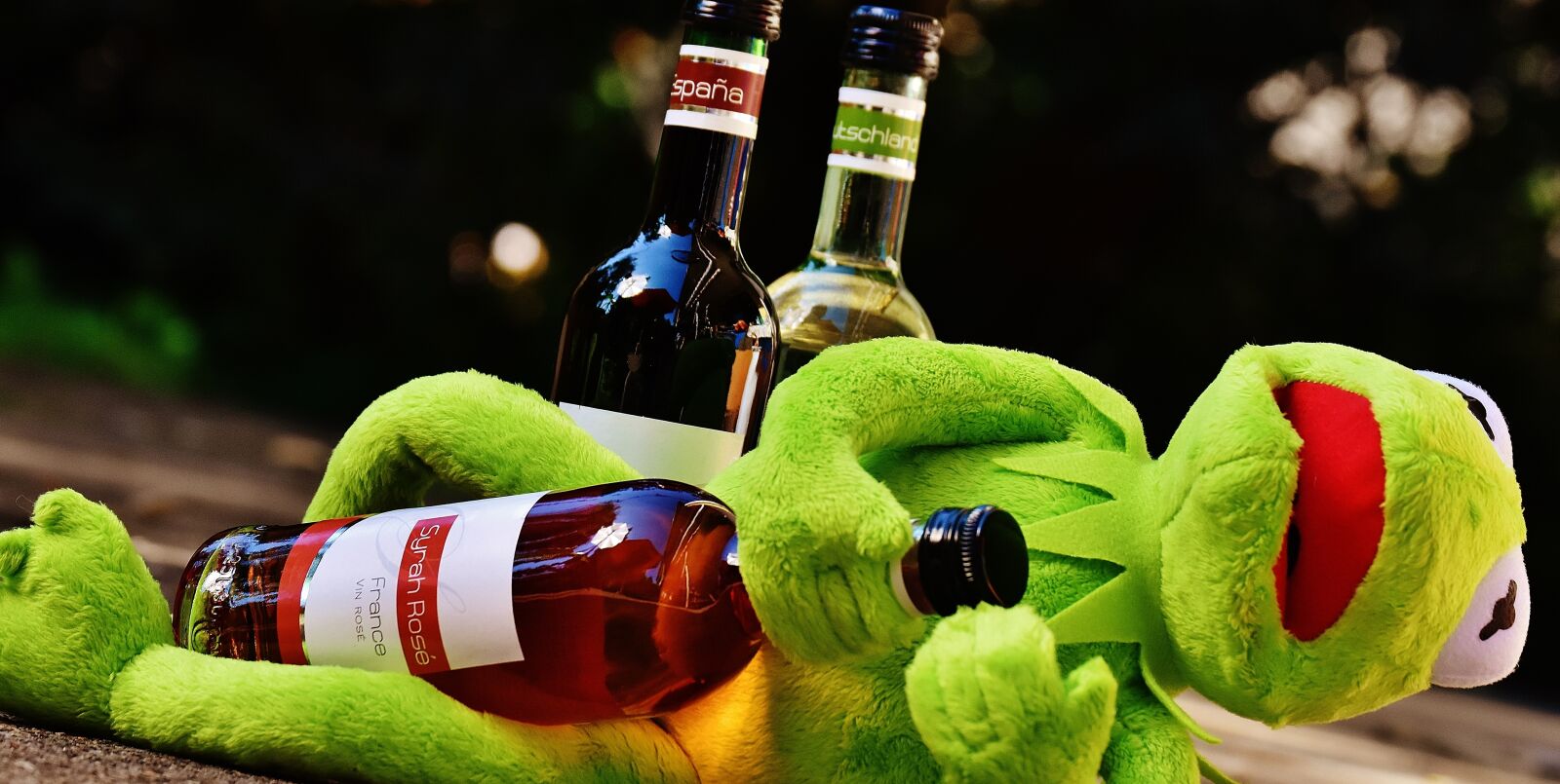 Nikon D7200 sample photo. Kermit, frog, wine photography