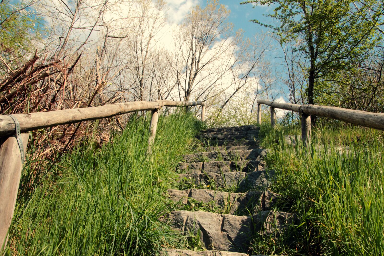 Canon EOS 600D (Rebel EOS T3i / EOS Kiss X5) sample photo. Nature, landscape, wood photography