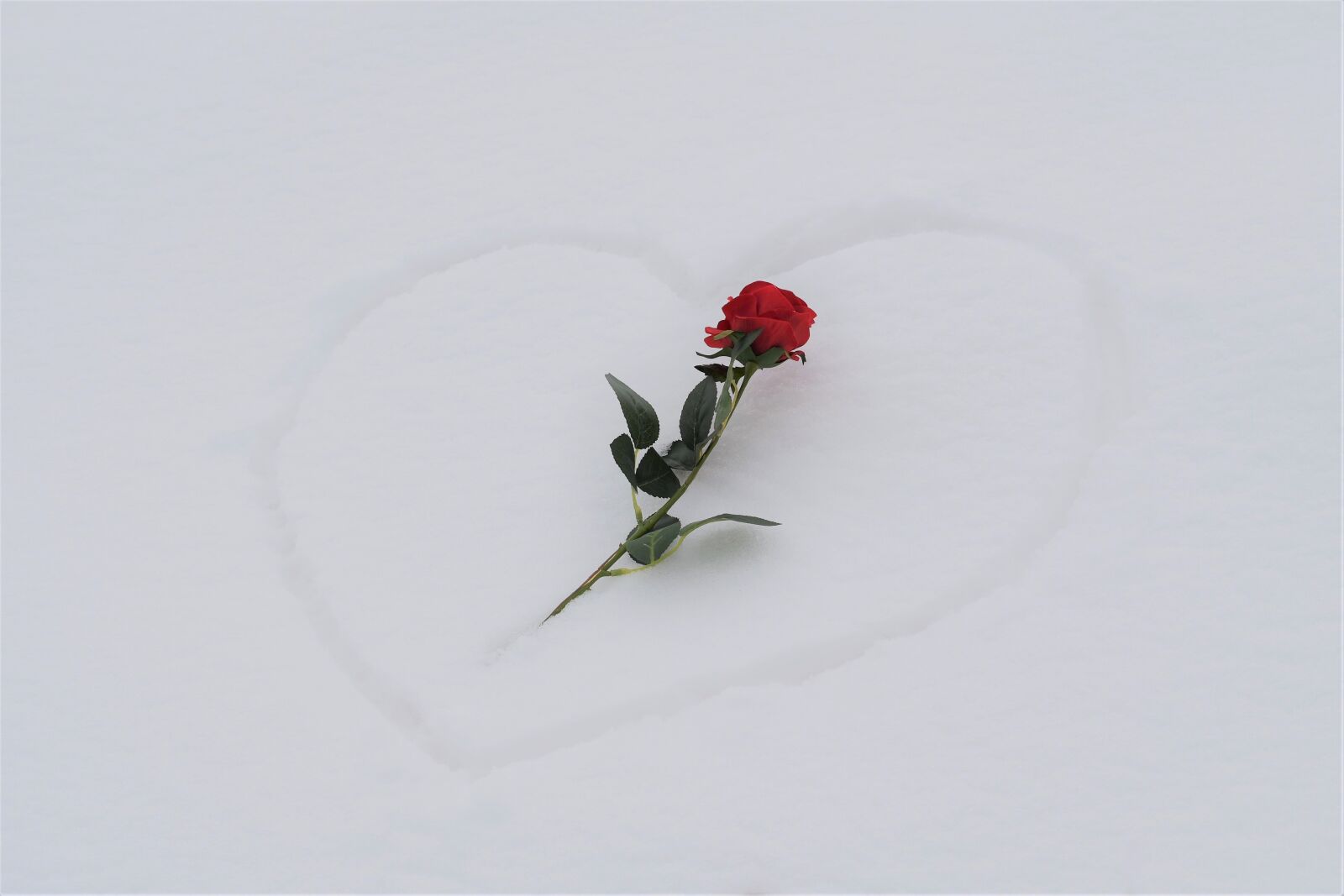 Nikon D5600 sample photo. Heart in snow, red photography