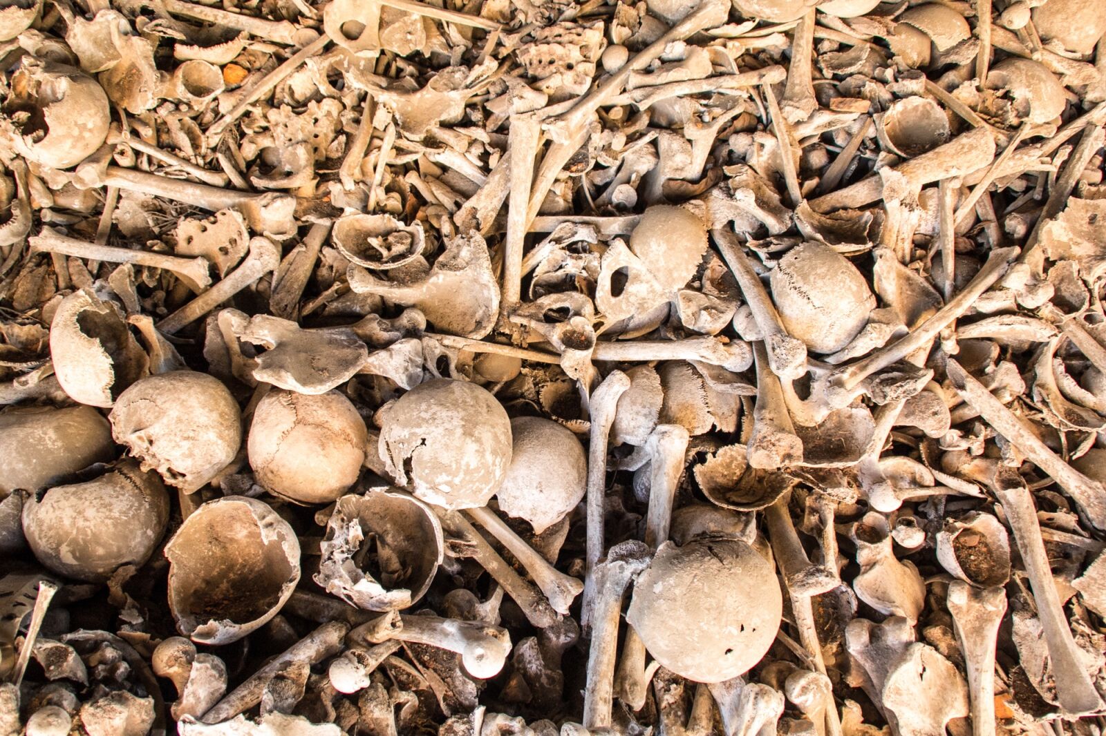 Canon EOS 60D sample photo. Human bones, world war photography