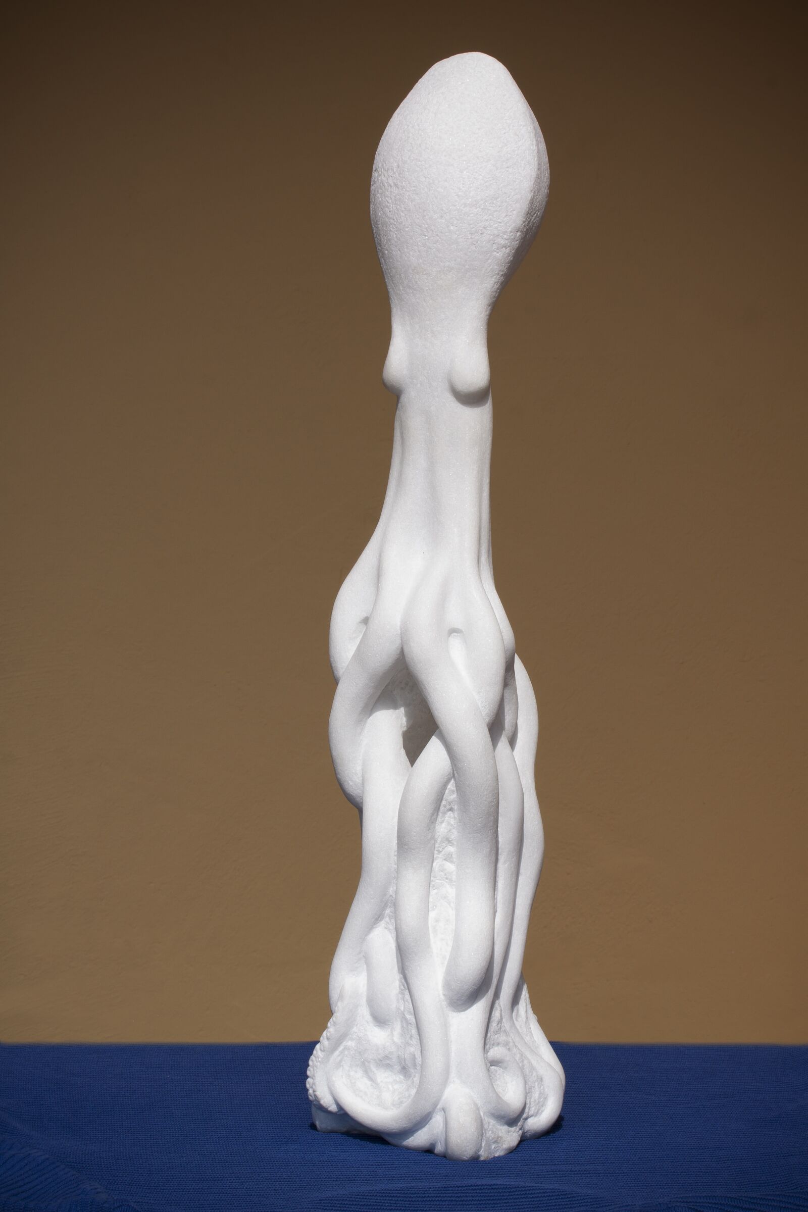 Canon EF-S 60mm F2.8 Macro USM sample photo. Octopus, real octopus, sculpture photography