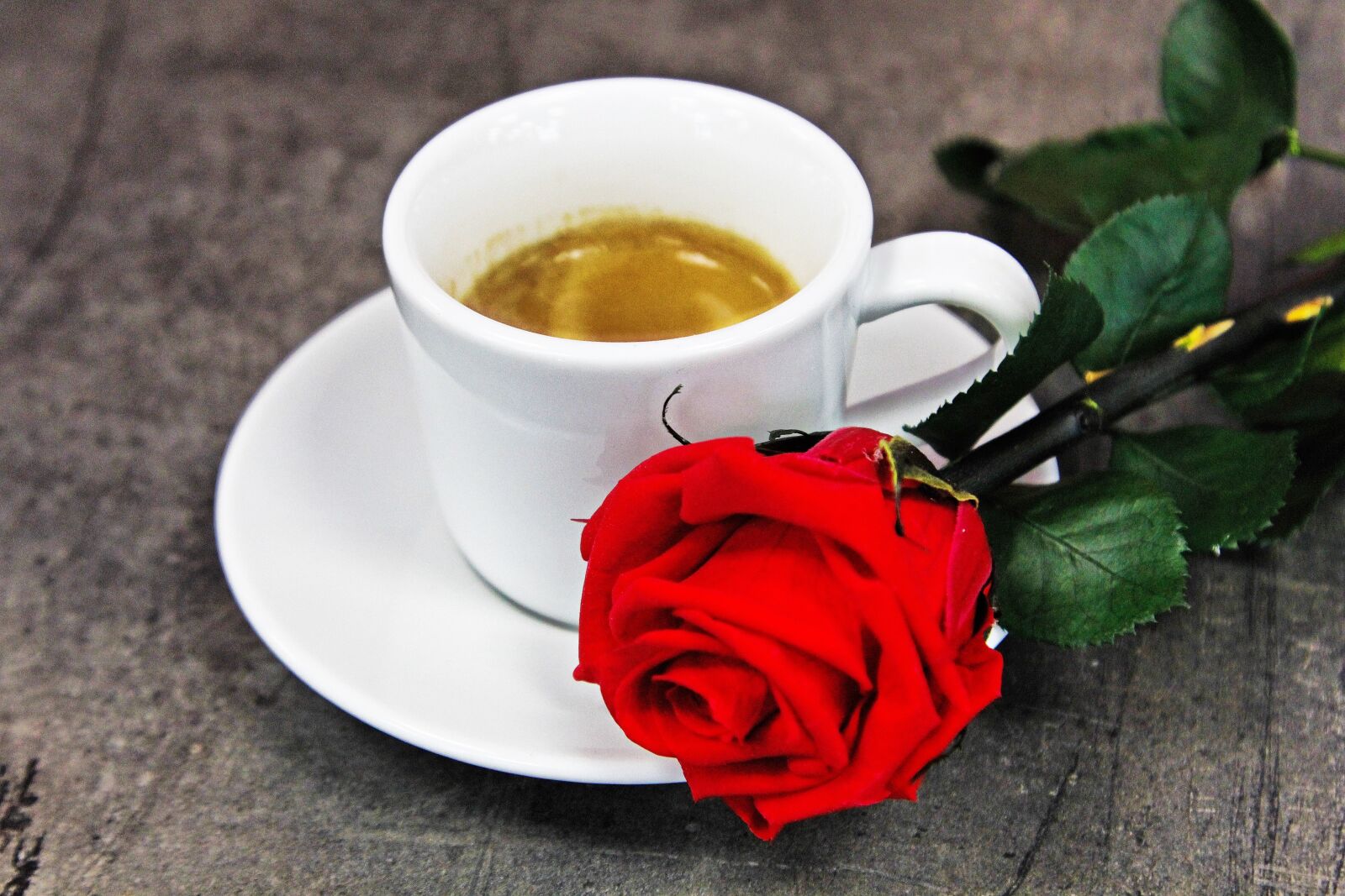 Canon EOS 60D + Canon EF 24-105mm F4L IS USM sample photo. Espresso, ristretto, coffee photography