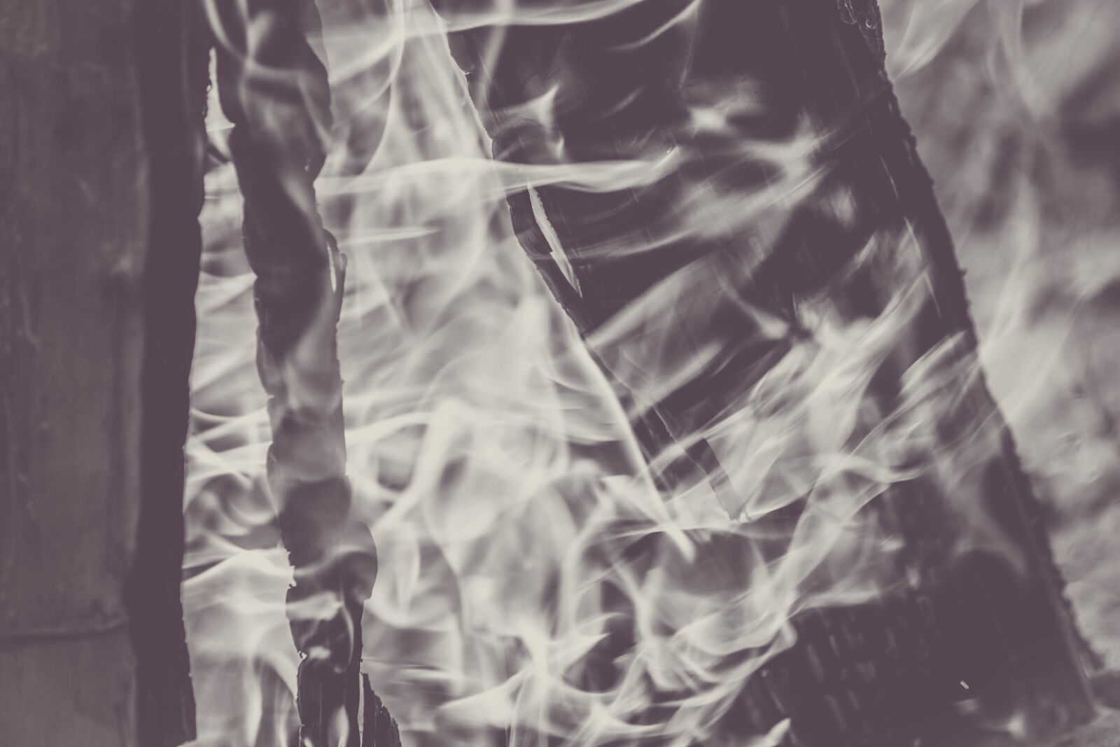 Nikon D5200 sample photo. Art, black, and, white photography