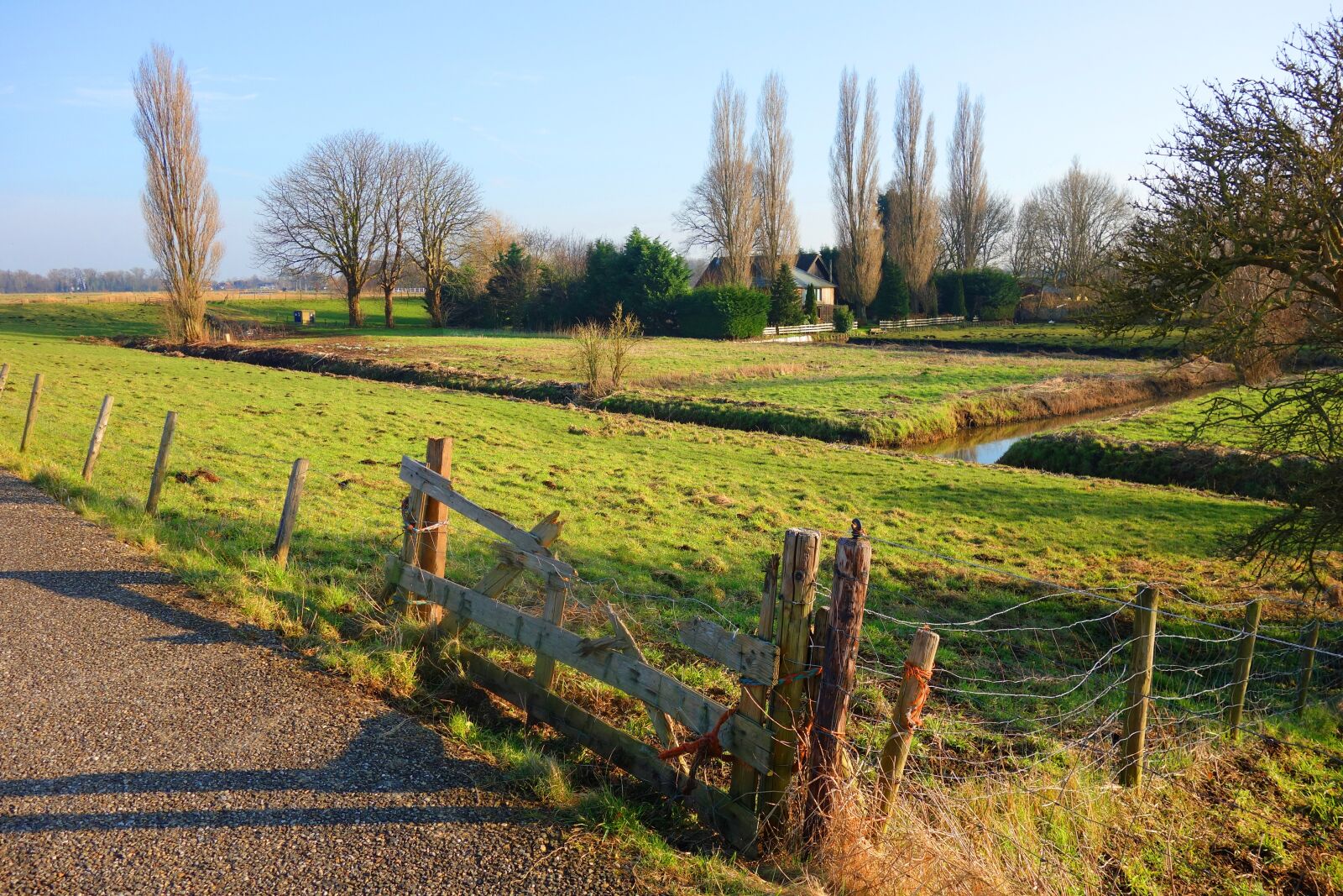 Sony Cyber-shot DSC-RX100 sample photo. Meadow, farmhouse, trees photography