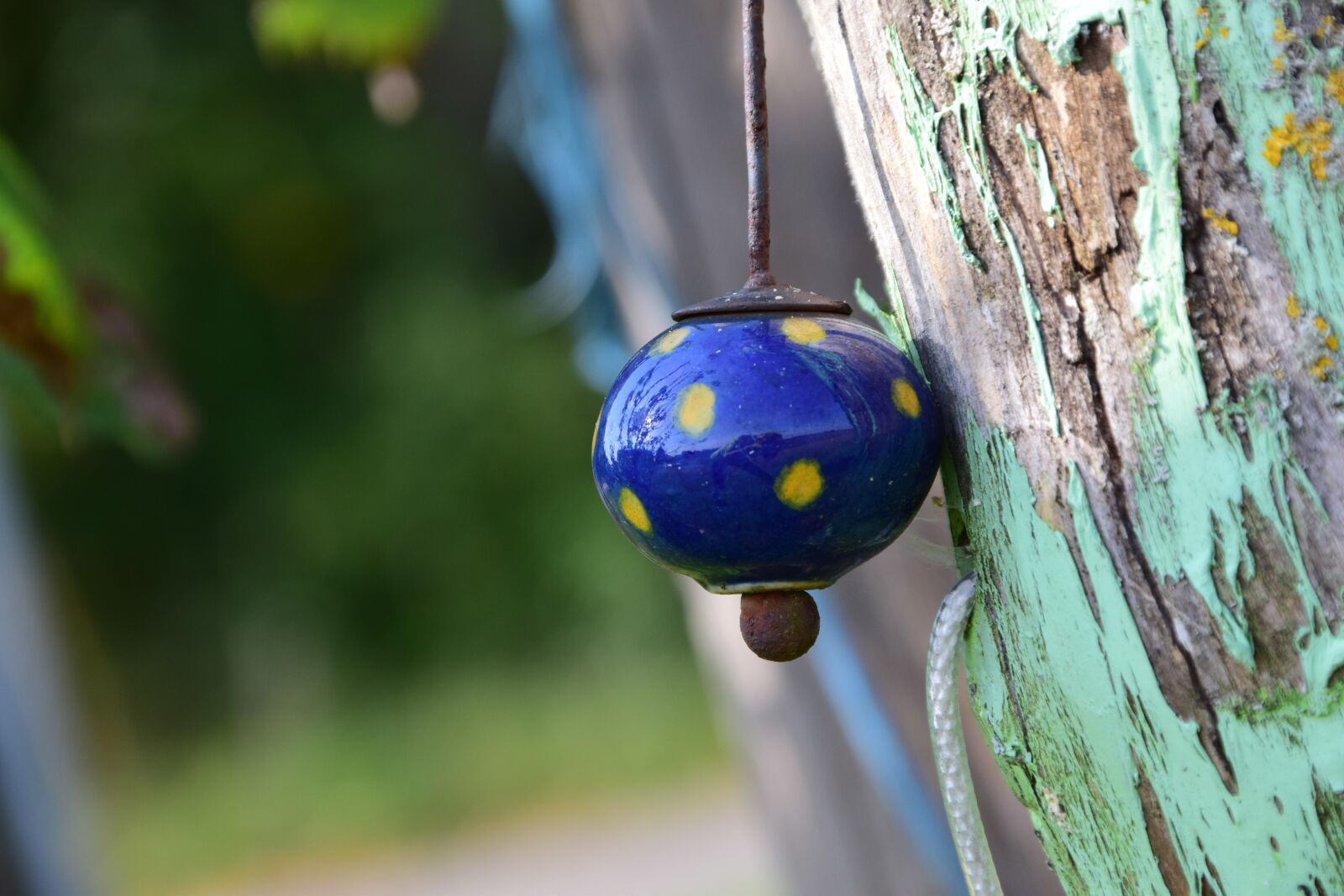 Nikon D3300 sample photo. Decoration, pearl, decorative photography