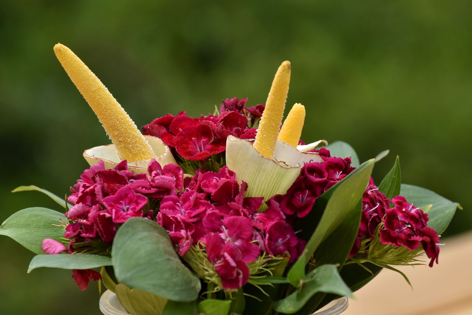 Nikon D5500 sample photo. Beautiful flowers, beautiful photo photography