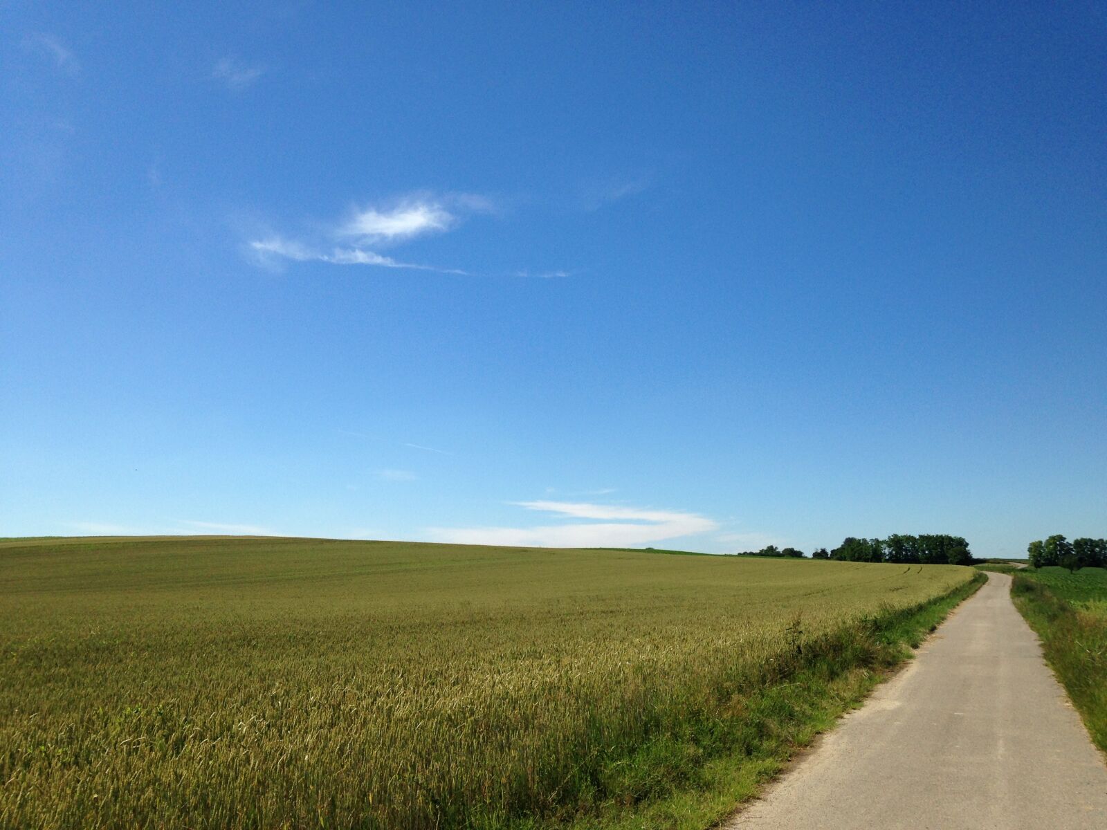 iPhone 5c back camera 4.12mm f/2.4 sample photo. Landscape, paradise, dream photography
