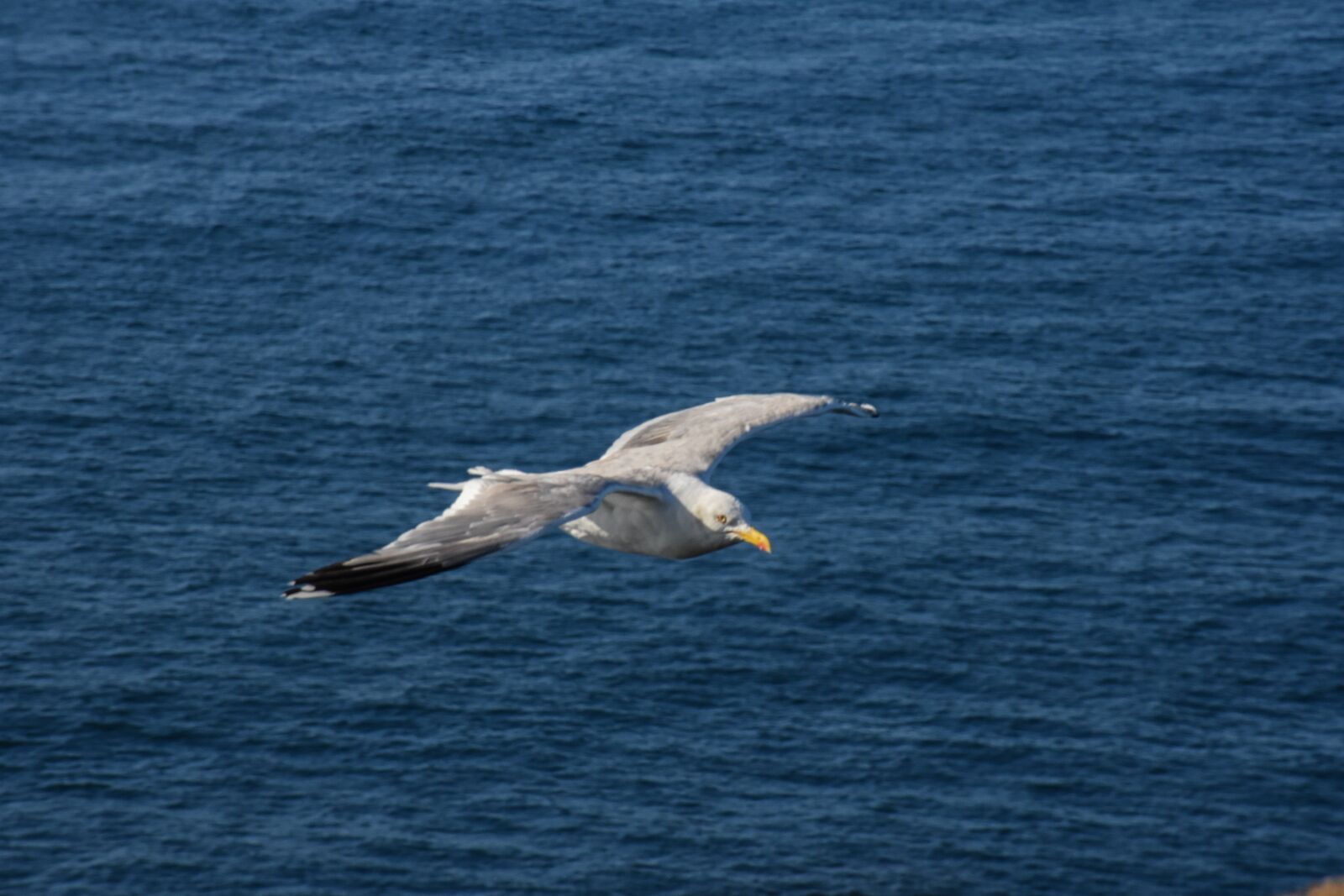Nikon D7200 sample photo. Body of water, sea photography