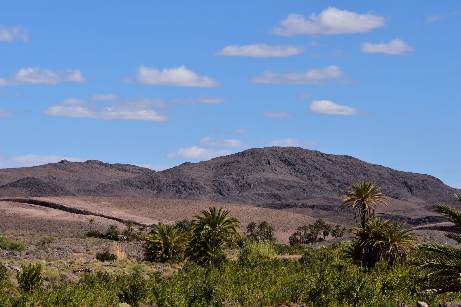 Nikon D5500 sample photo. Nature, landscape, morocco photography